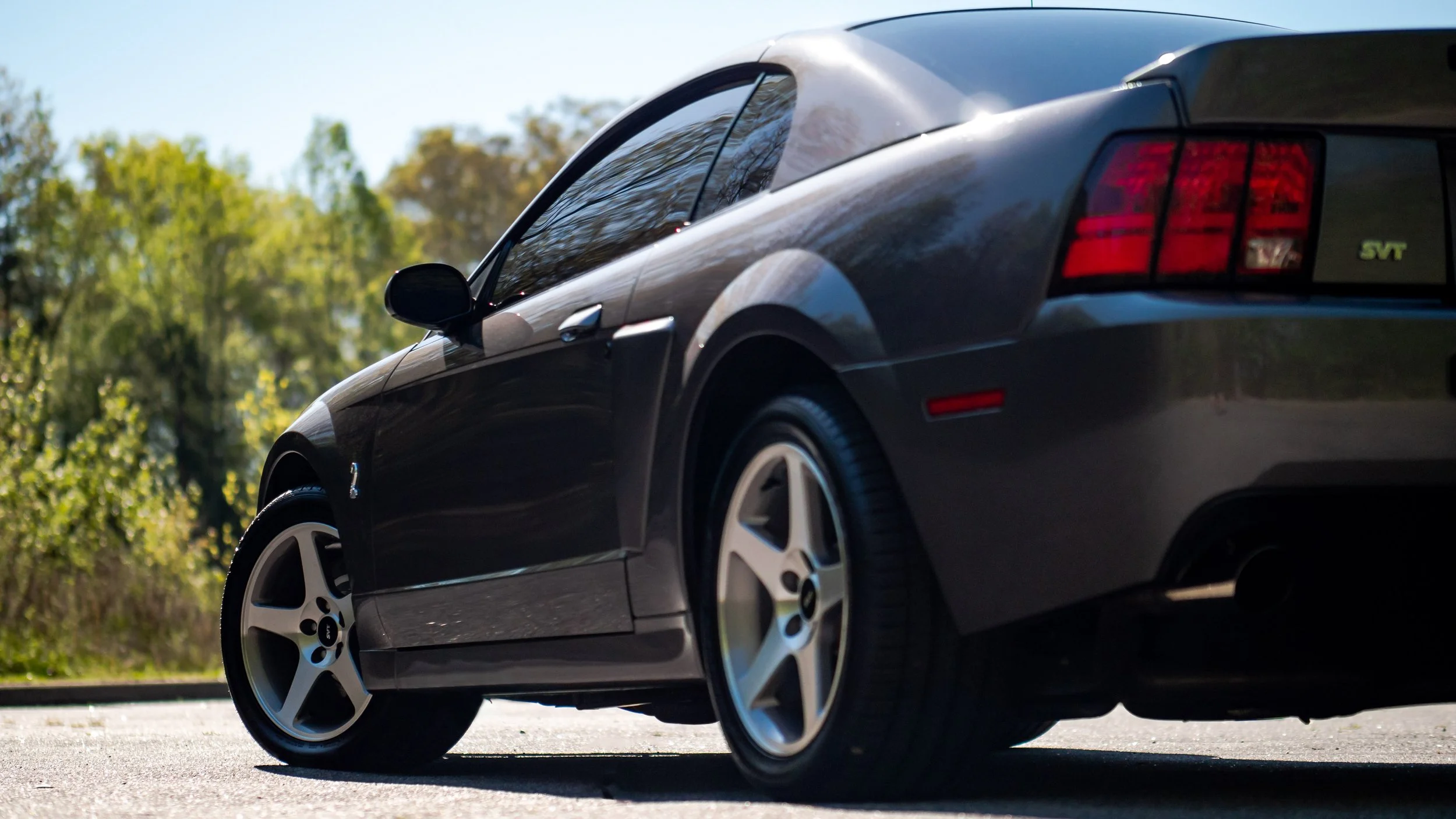 2003 Ford Cobra-1688770.jpg