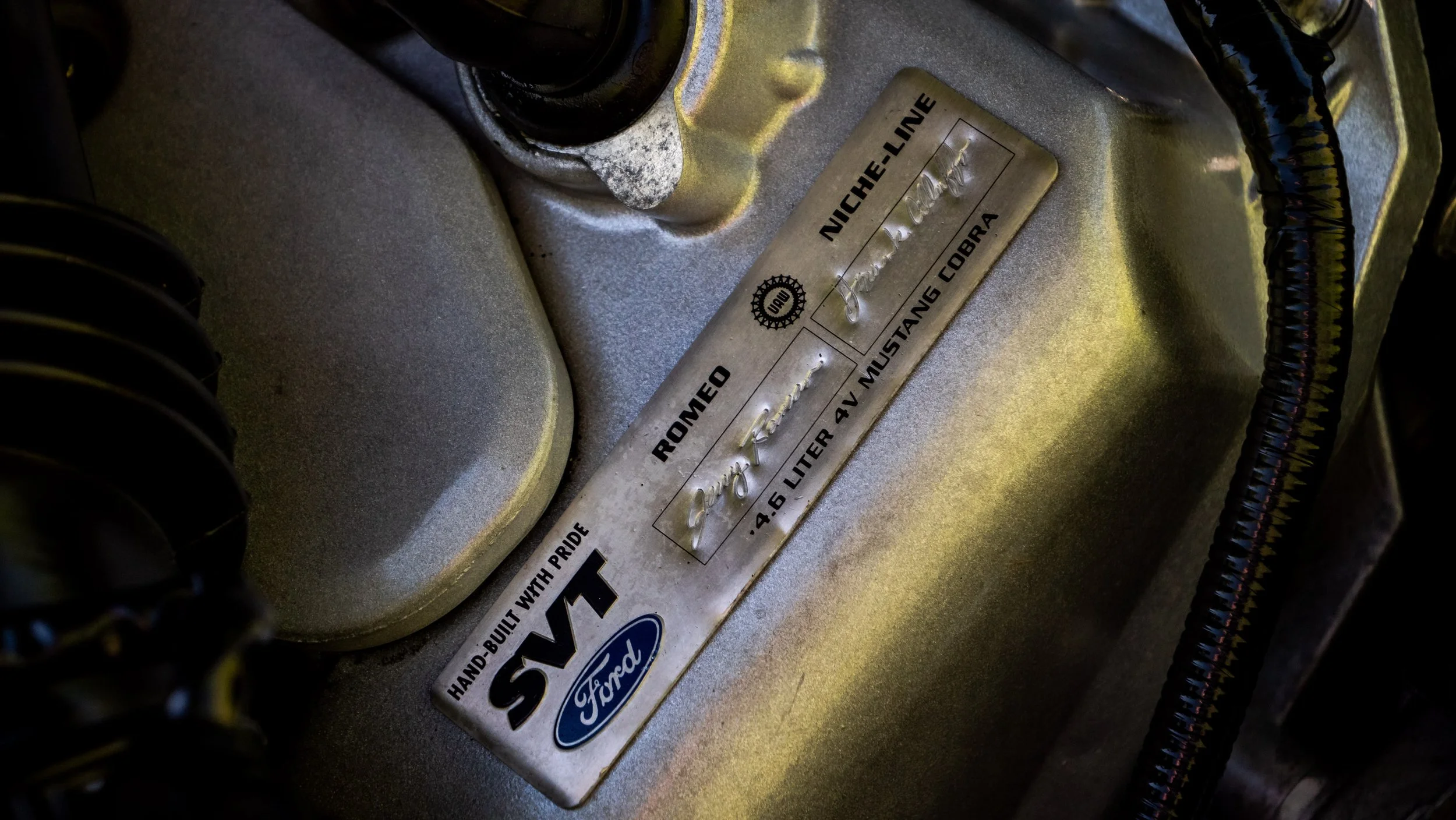 2003 Ford Cobra-1688753.JPG