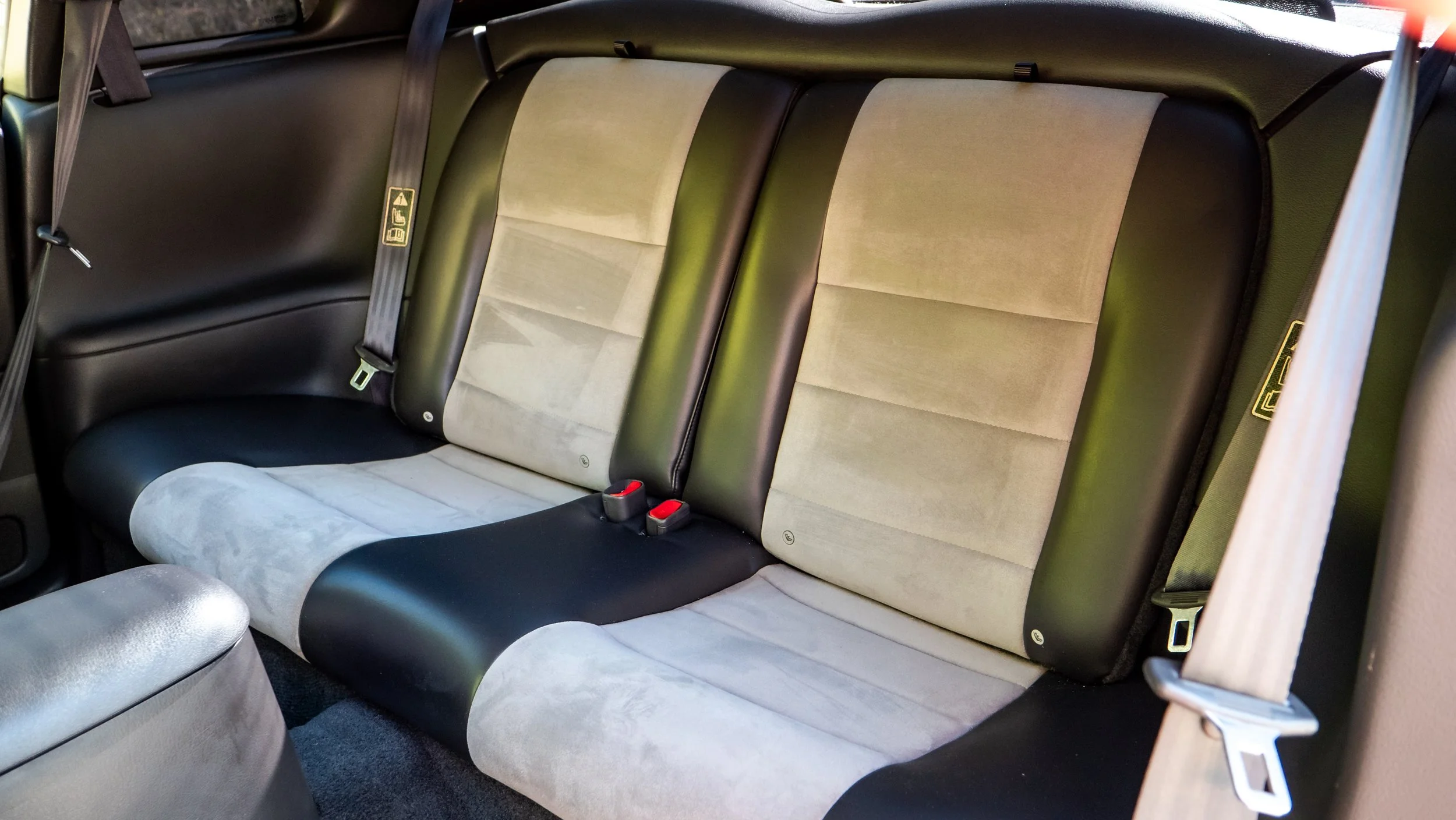 2003 Ford Cobra-1688735.JPG