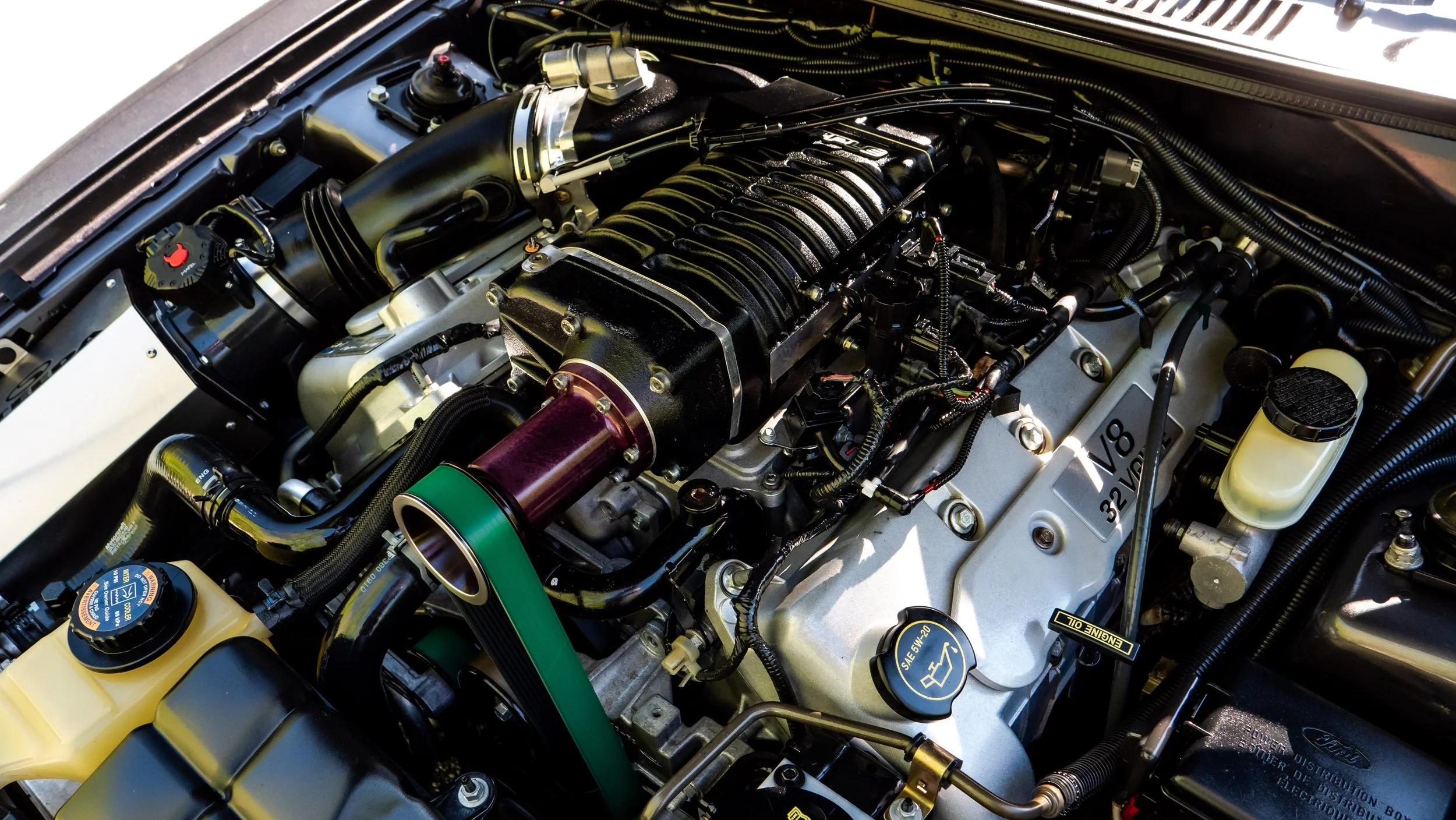 2003 Ford Cobra-1688751.JPG