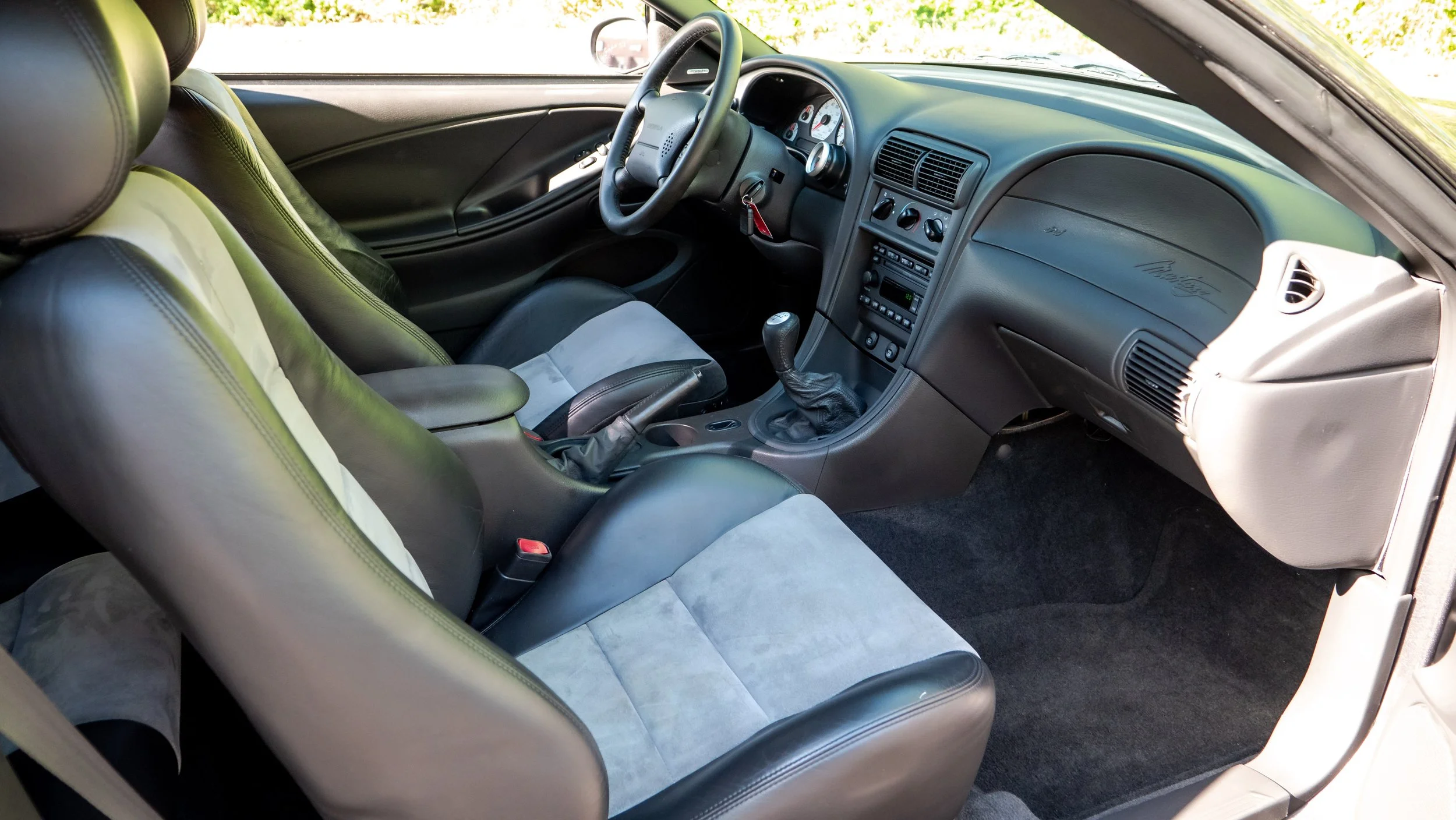 2003 Ford Cobra-1688739.JPG