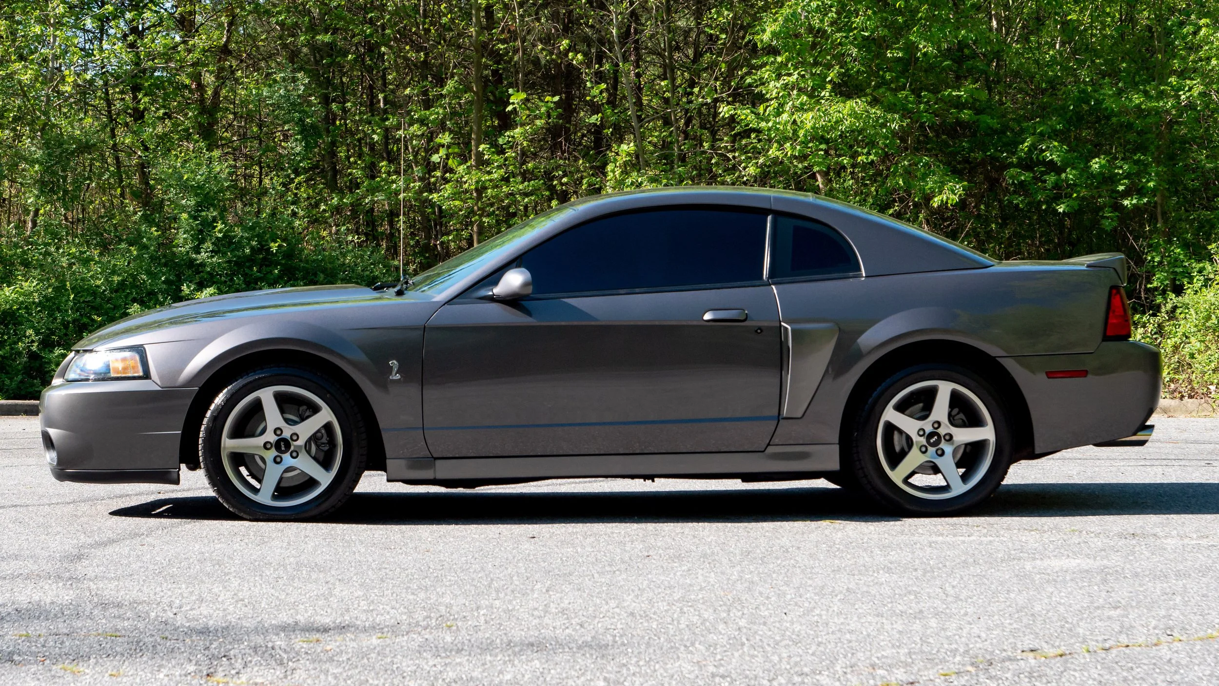 2003 Ford Cobra-1688758.JPG