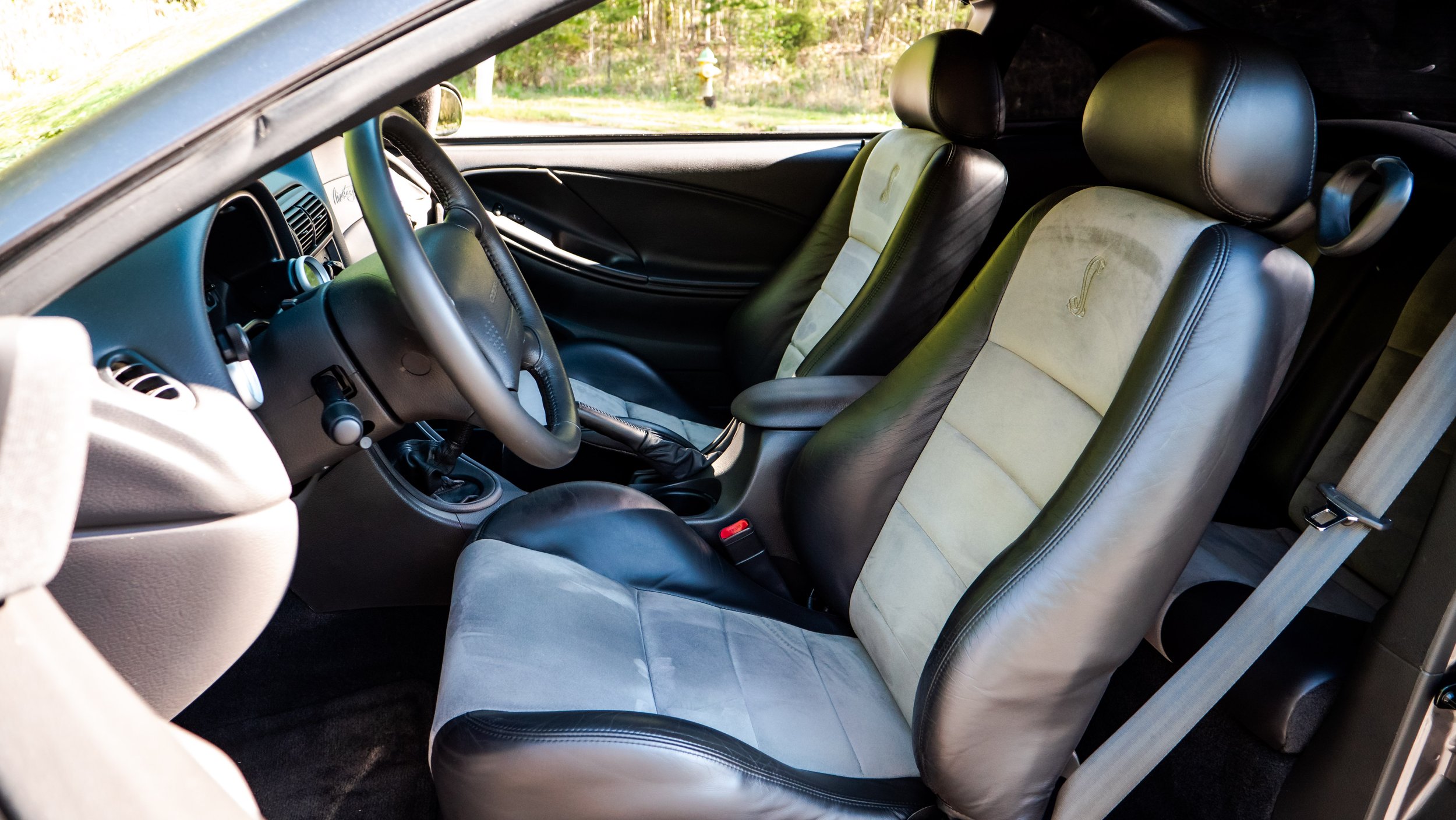 2003 Ford Cobra-1688732.JPG