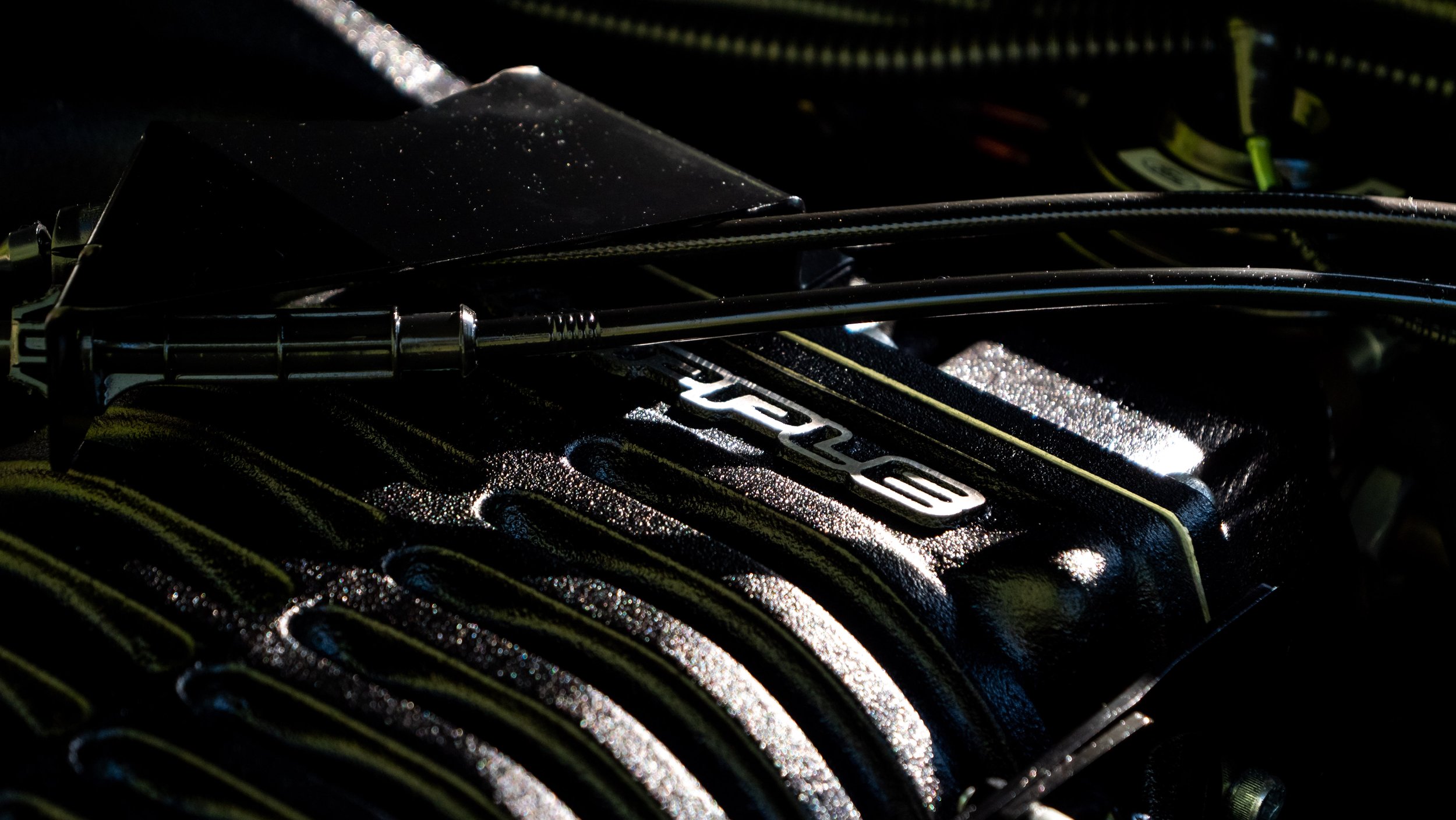 2003 Ford Cobra-1688754.JPG