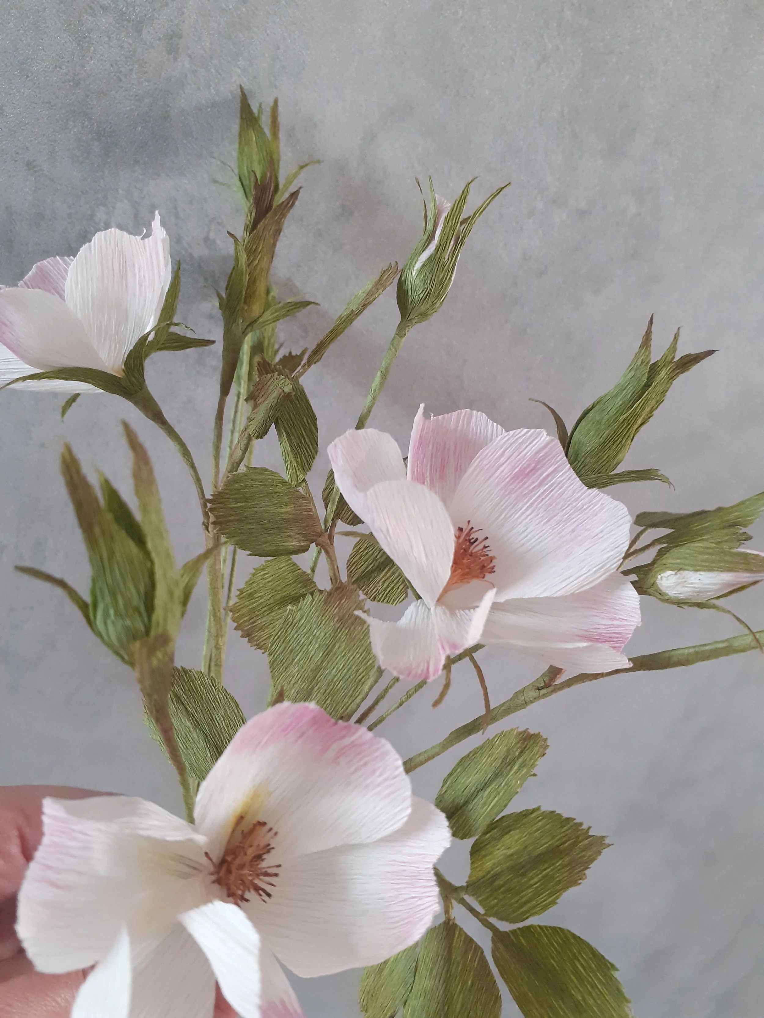 20250603_182719 (1).jpg