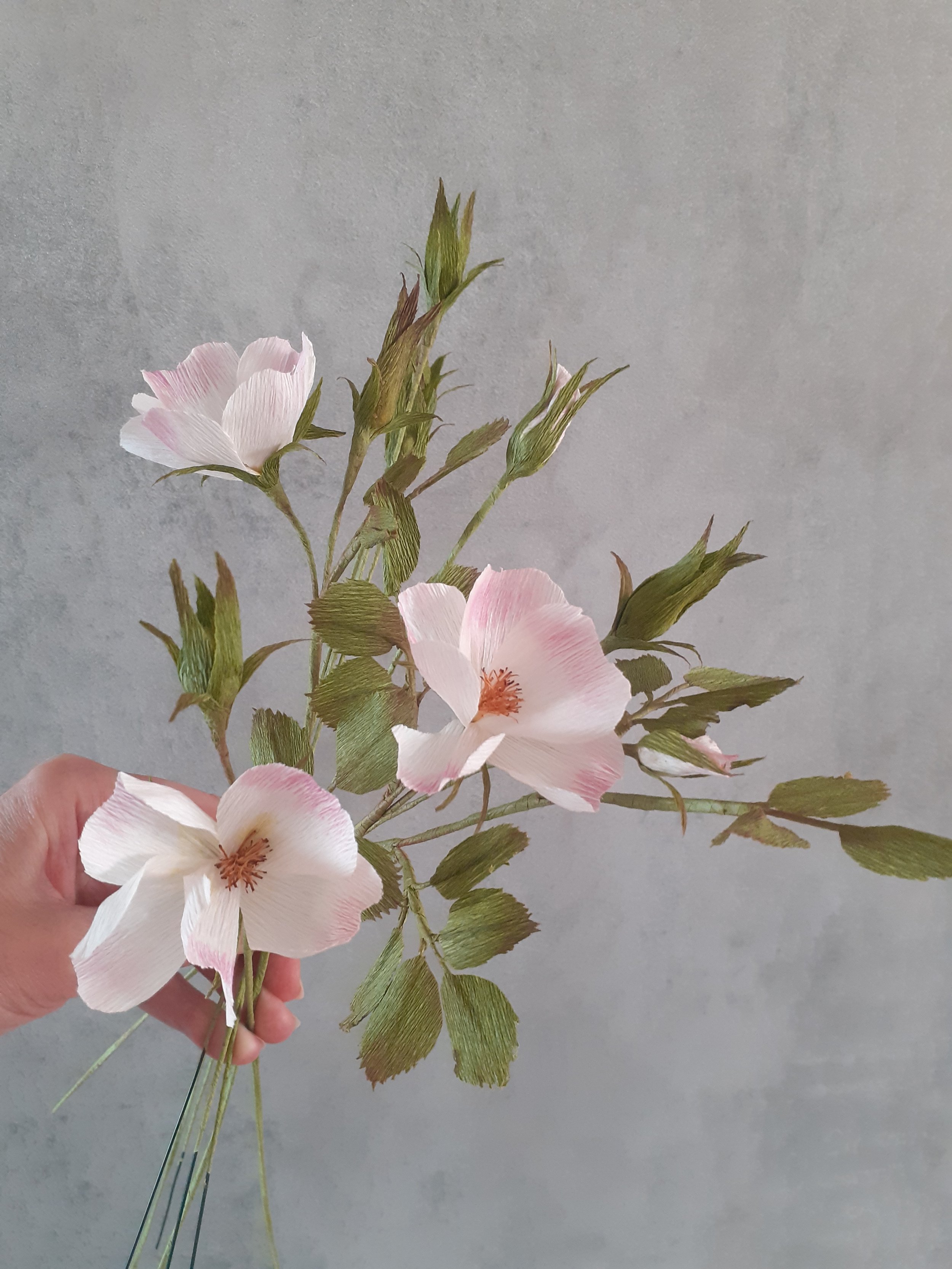 20250603_182628 (1).jpg