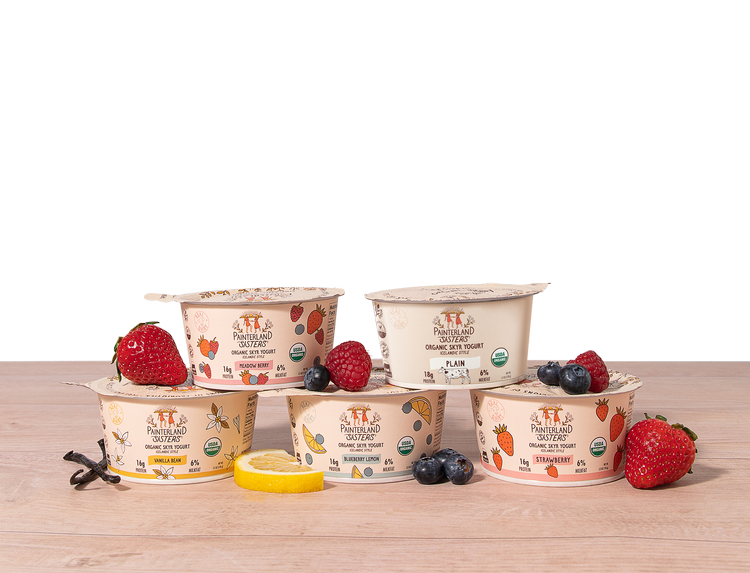 Organic Skyr Yogurt — Painterland Sisters
