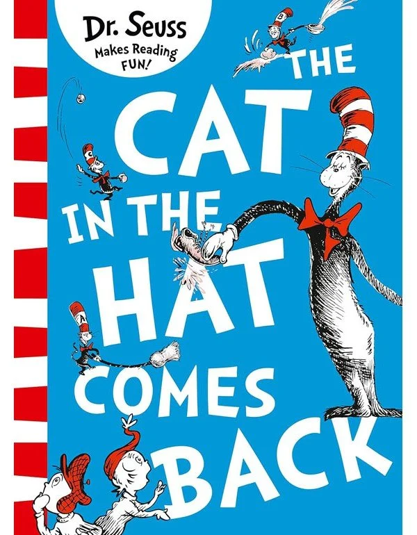 cat hat.jpg