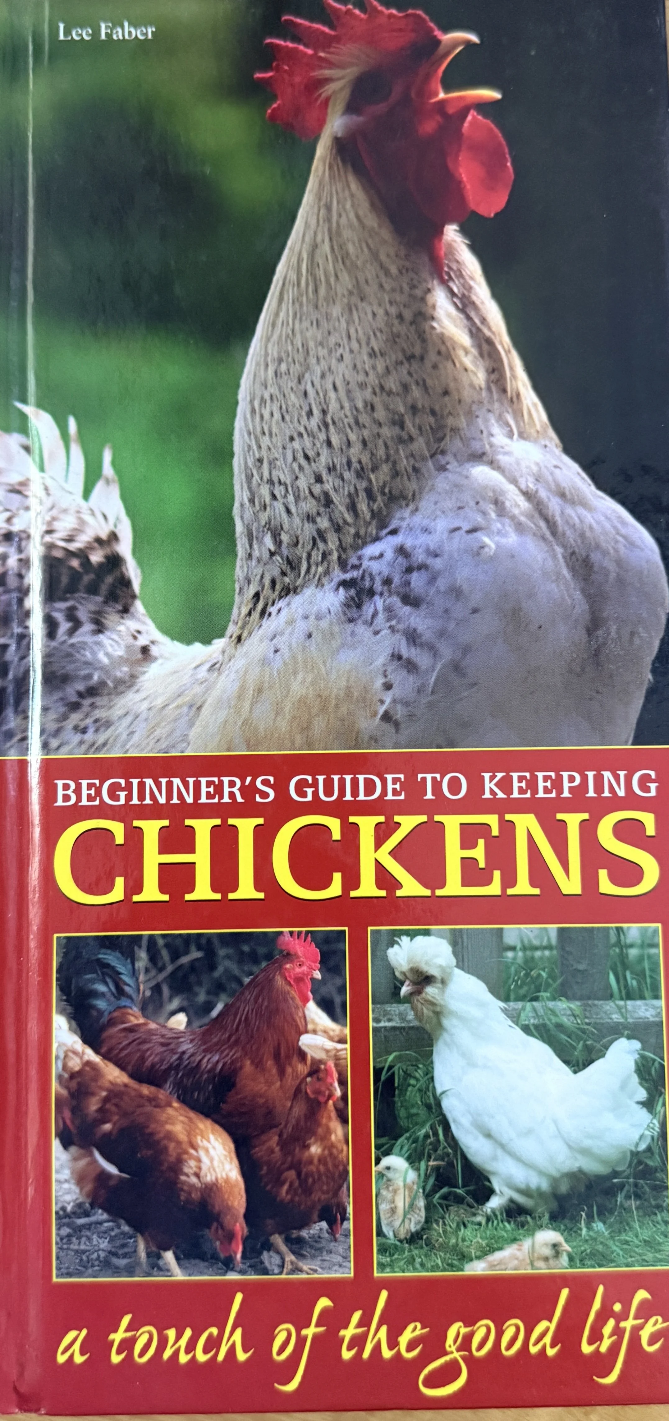 Beginner's Guide to Keeping Chickens