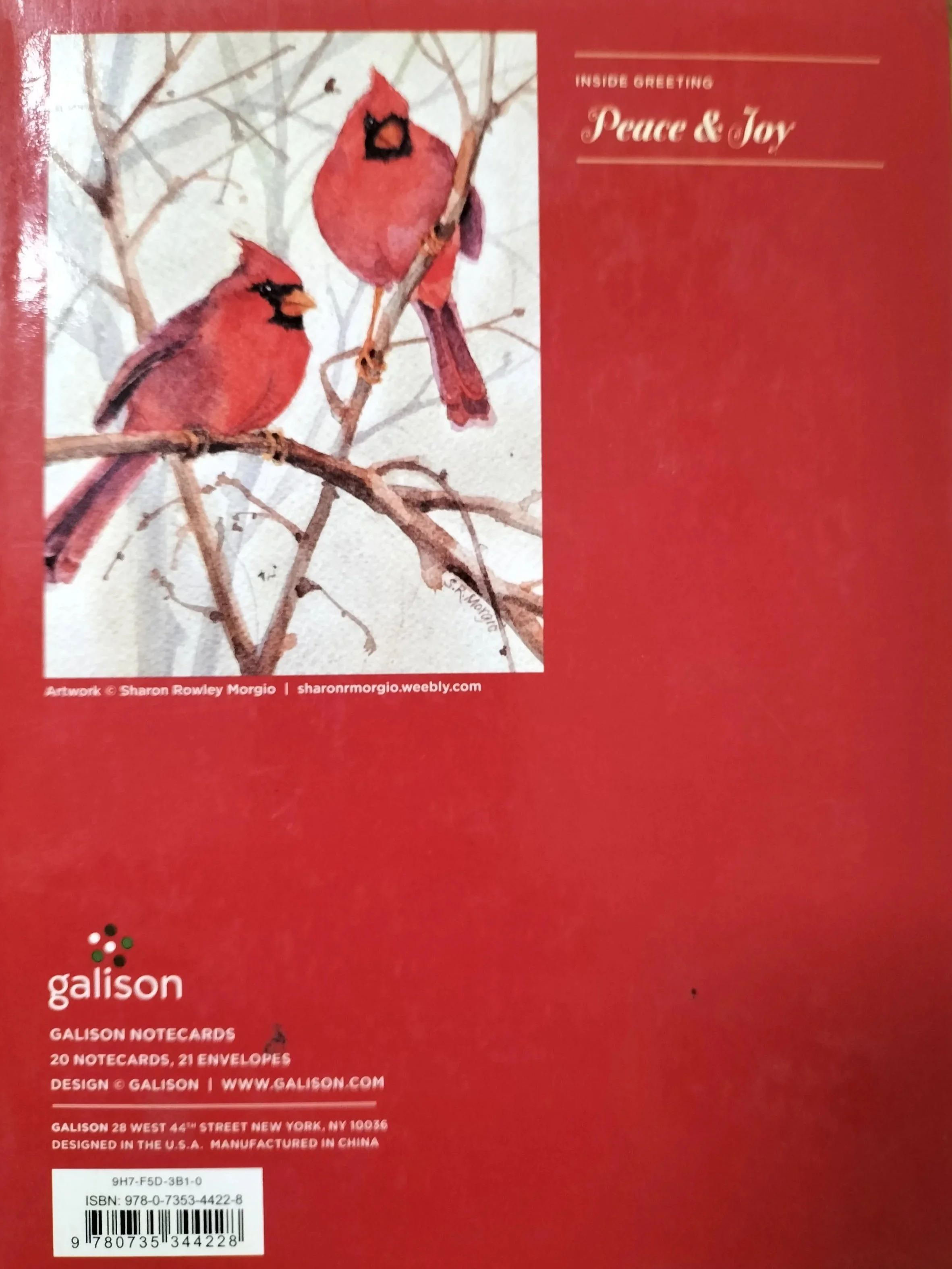 IMG20251219091610.jpg