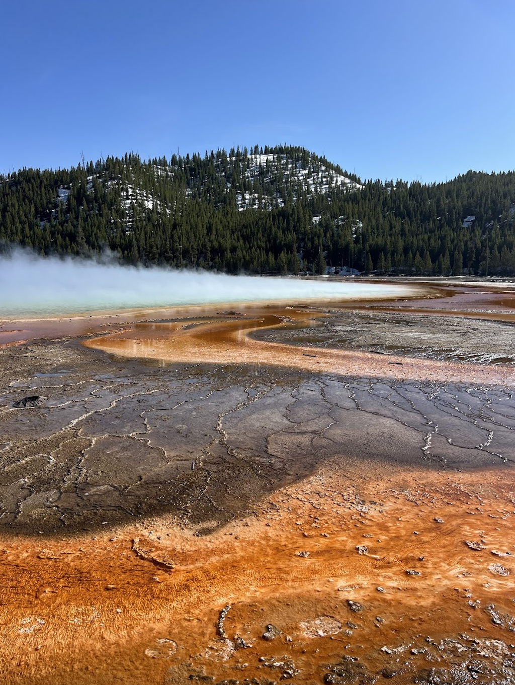 Screenshot 2026-01-02 at 7.25.22 PM.png