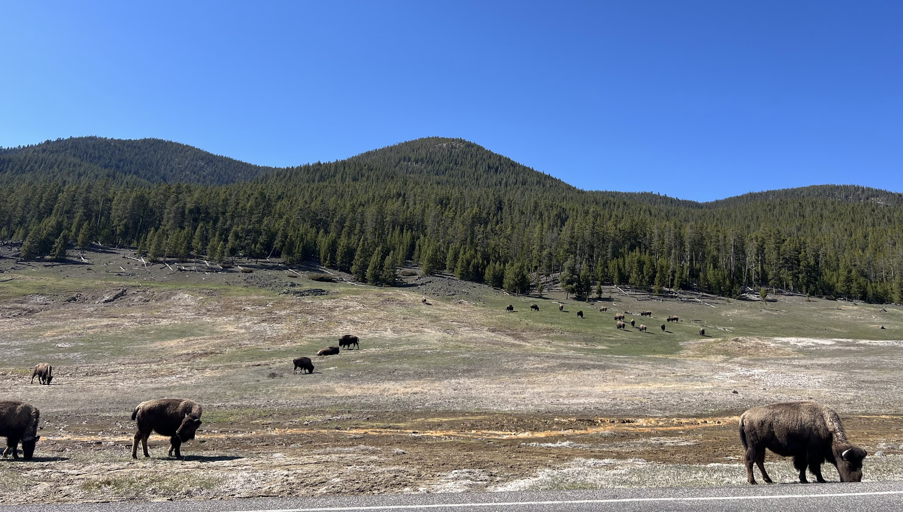 Screenshot 2026-01-02 at 7.25.34 PM.png