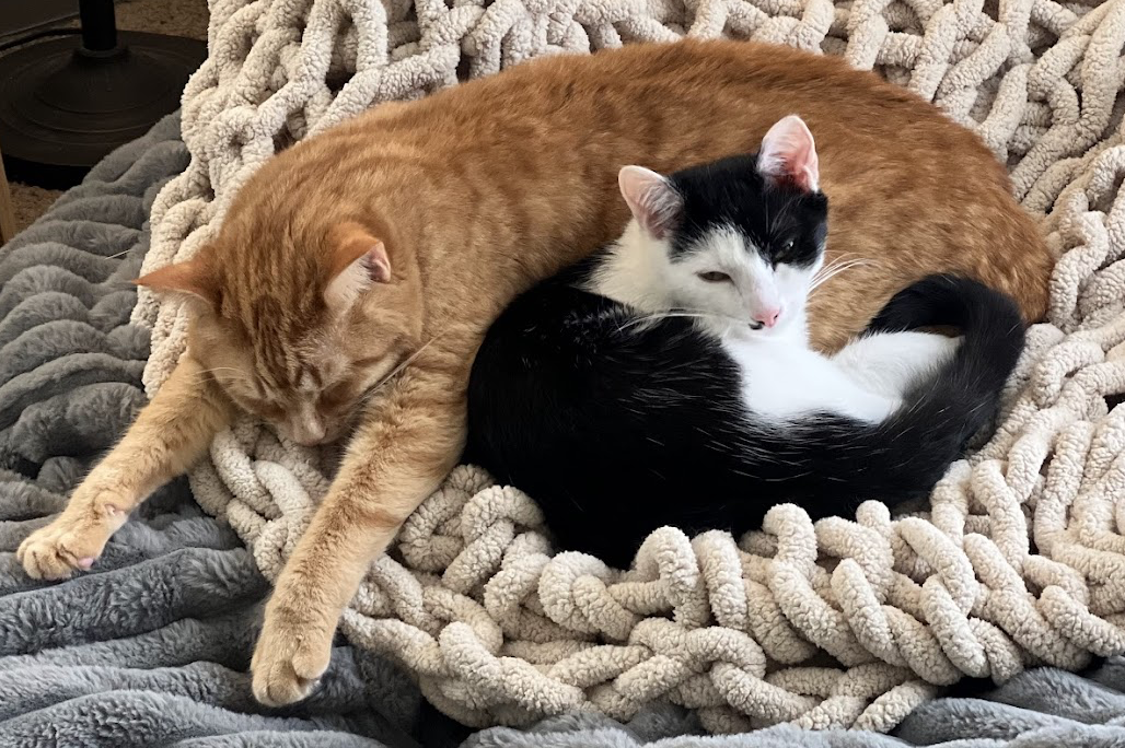 Screenshot 2026-01-02 at 7.14.06 PM.png