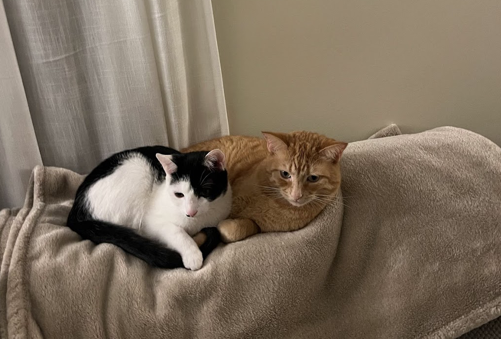 Screenshot 2026-01-02 at 7.09.04 PM.png