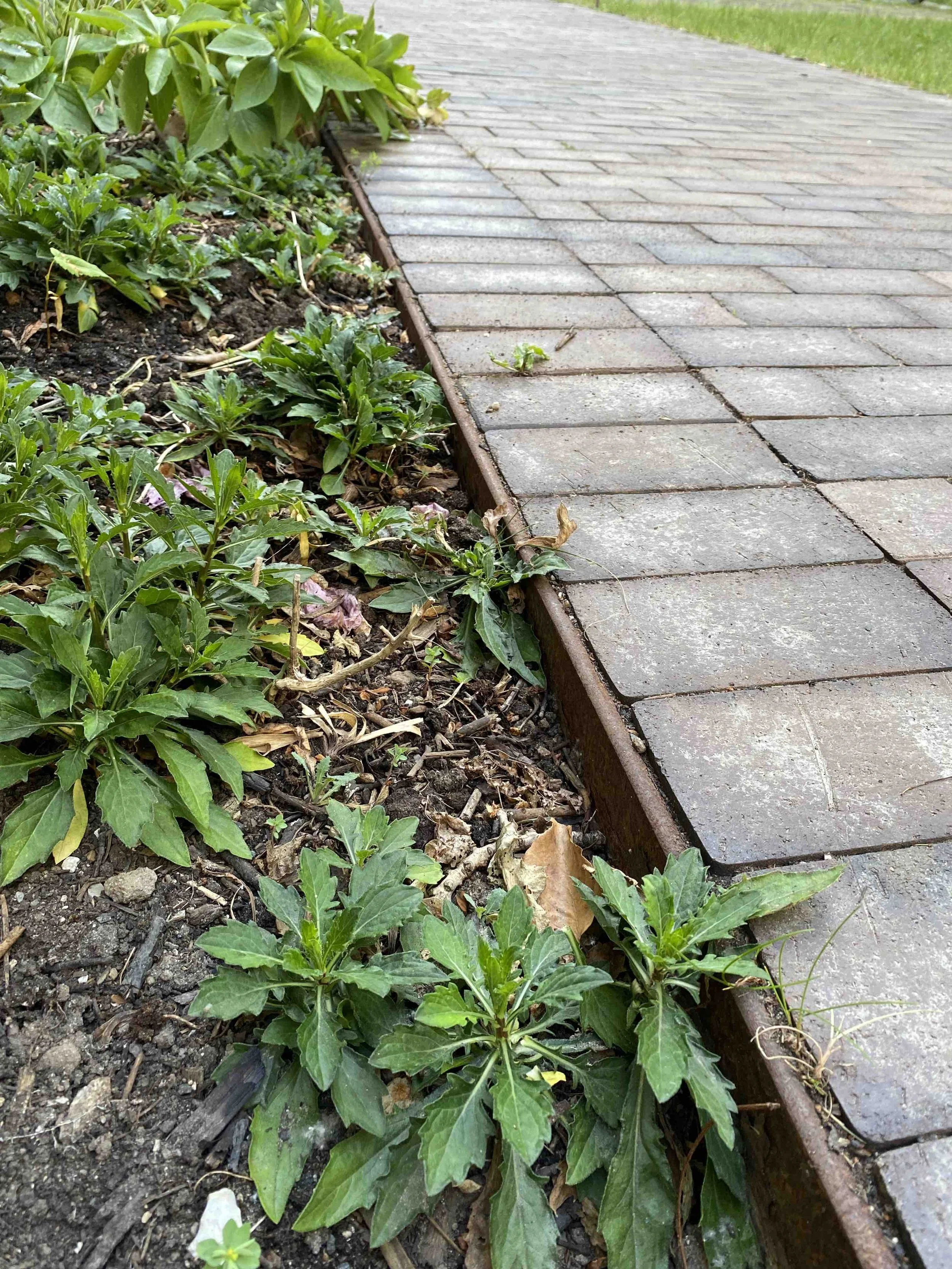 bedafgrænsning cortenstål