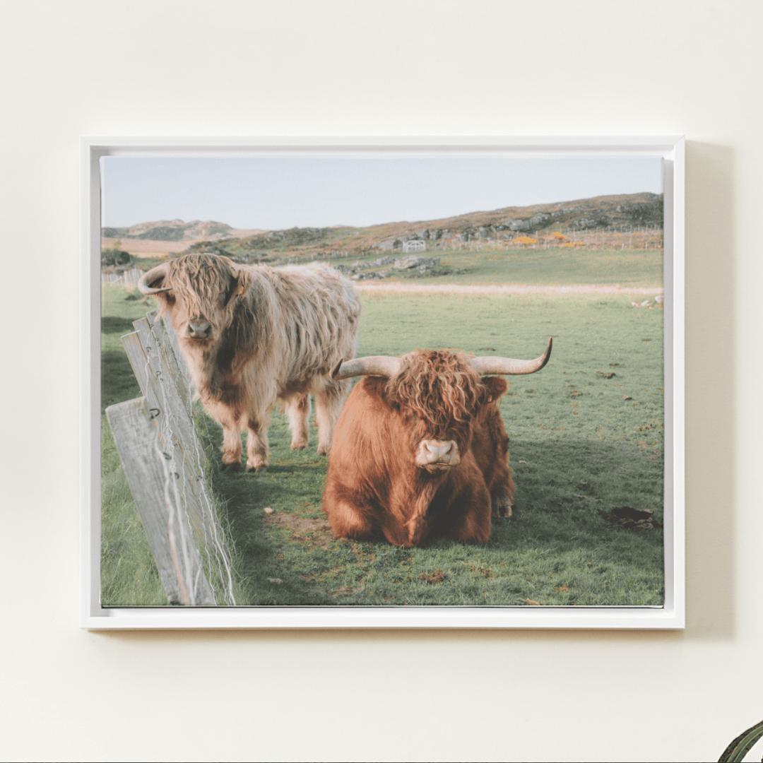 RWR - Product Images - Master (31).png