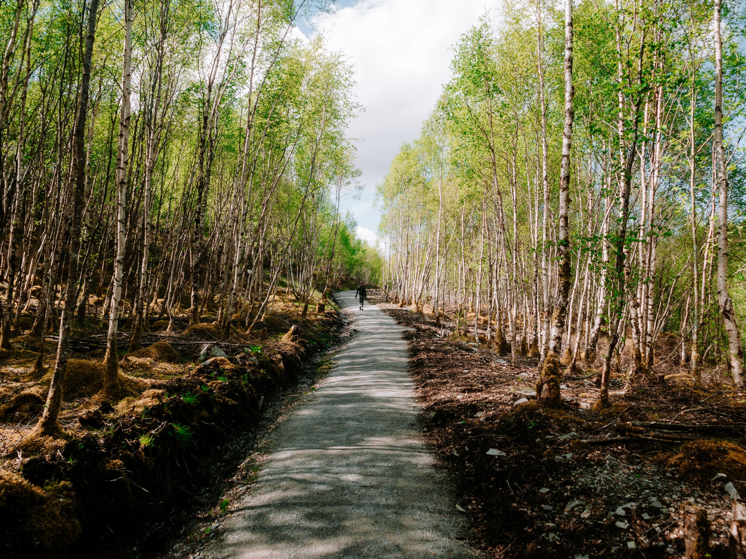 Walk to Corrieshalloch Gorge