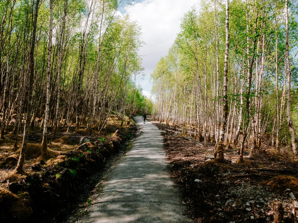 Walk to Corrieshalloch Gorge