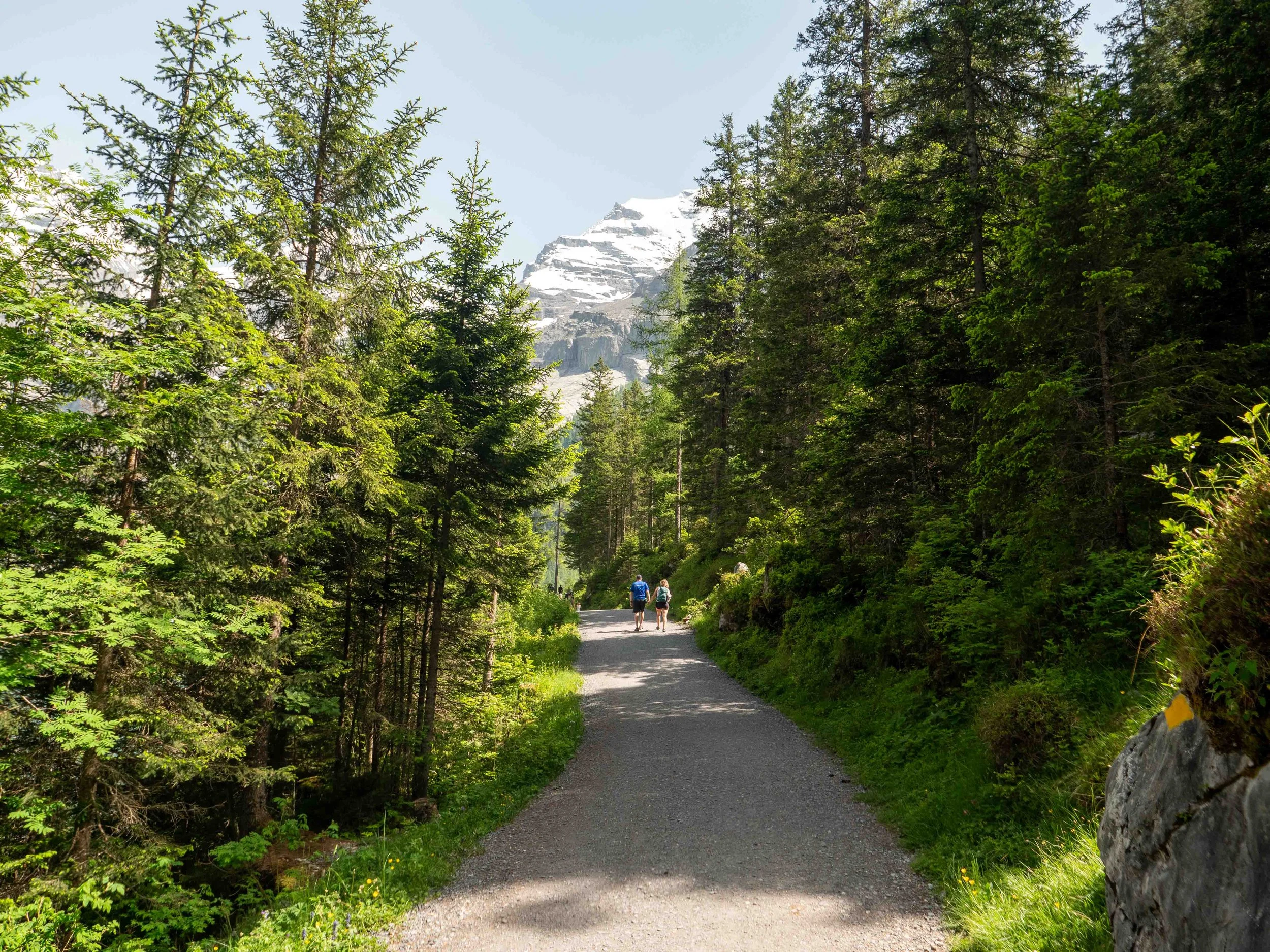 Roam with Ross - Switzerland - 24 - Web- PWED7566.jpg