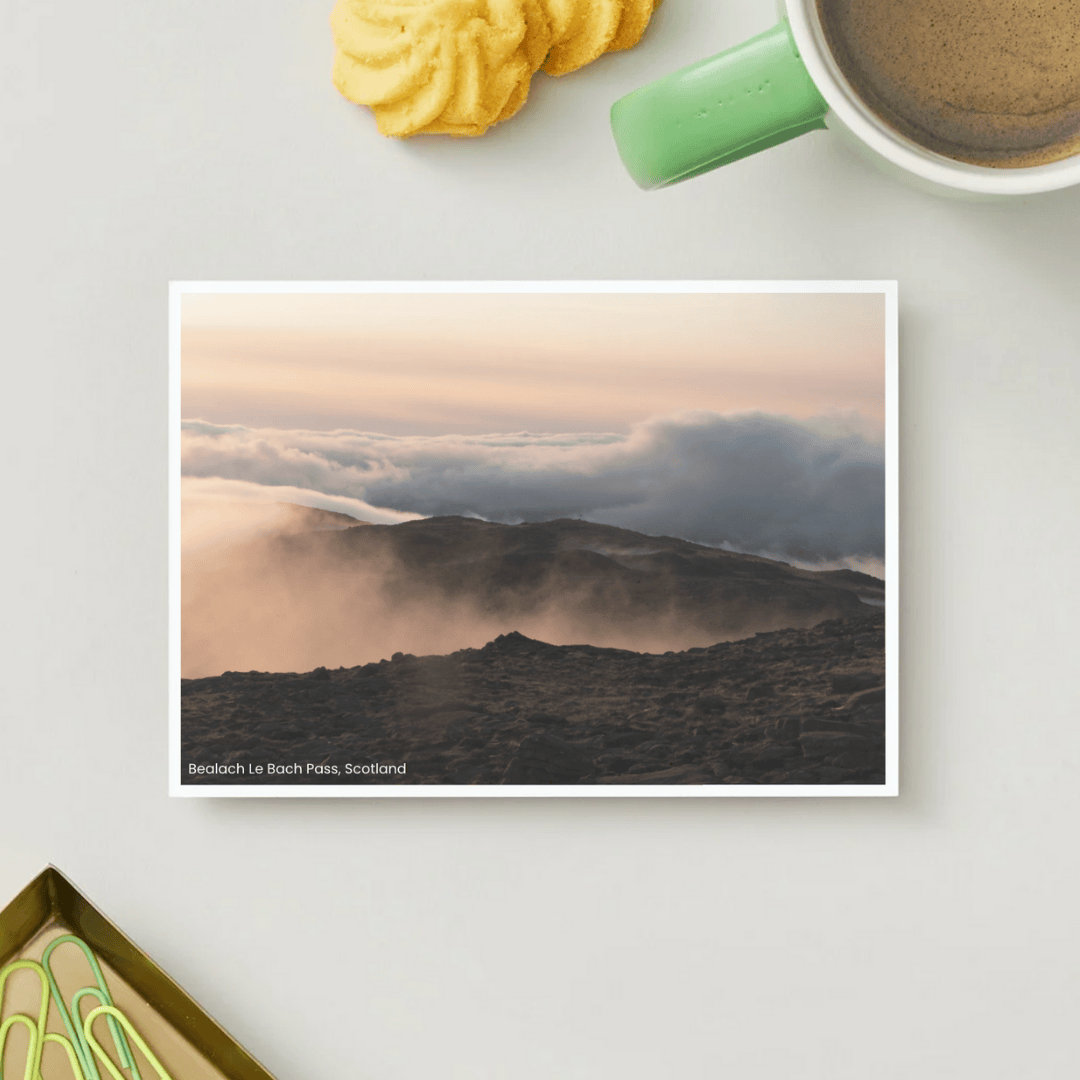 RWR - Product Images - Master (10).png
