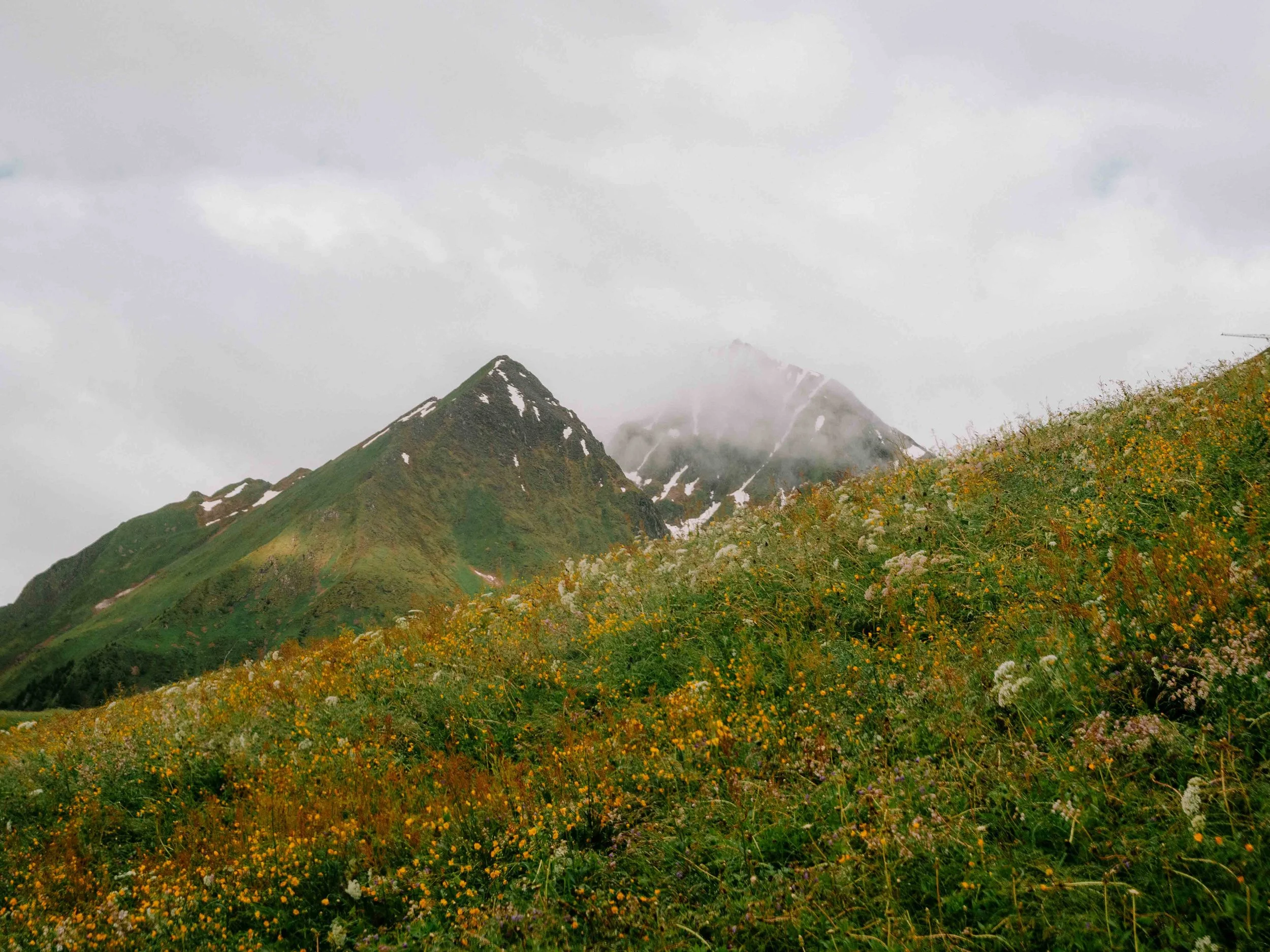 Roam with Ross - Switzerland - 24 - Web- PWED8017.jpg