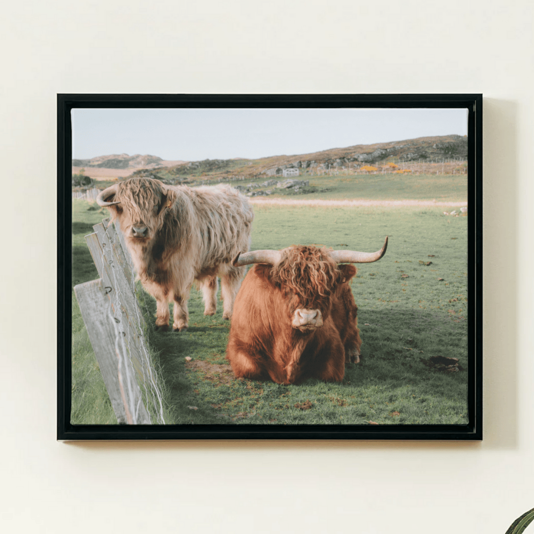 RWR - Product Images - Master (26).png