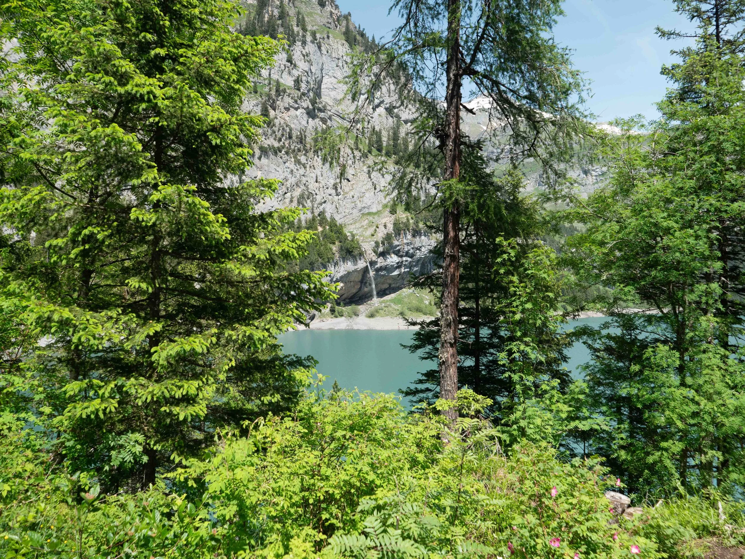 Roam with Ross - Switzerland - 24 - Web- PWED7487.jpg