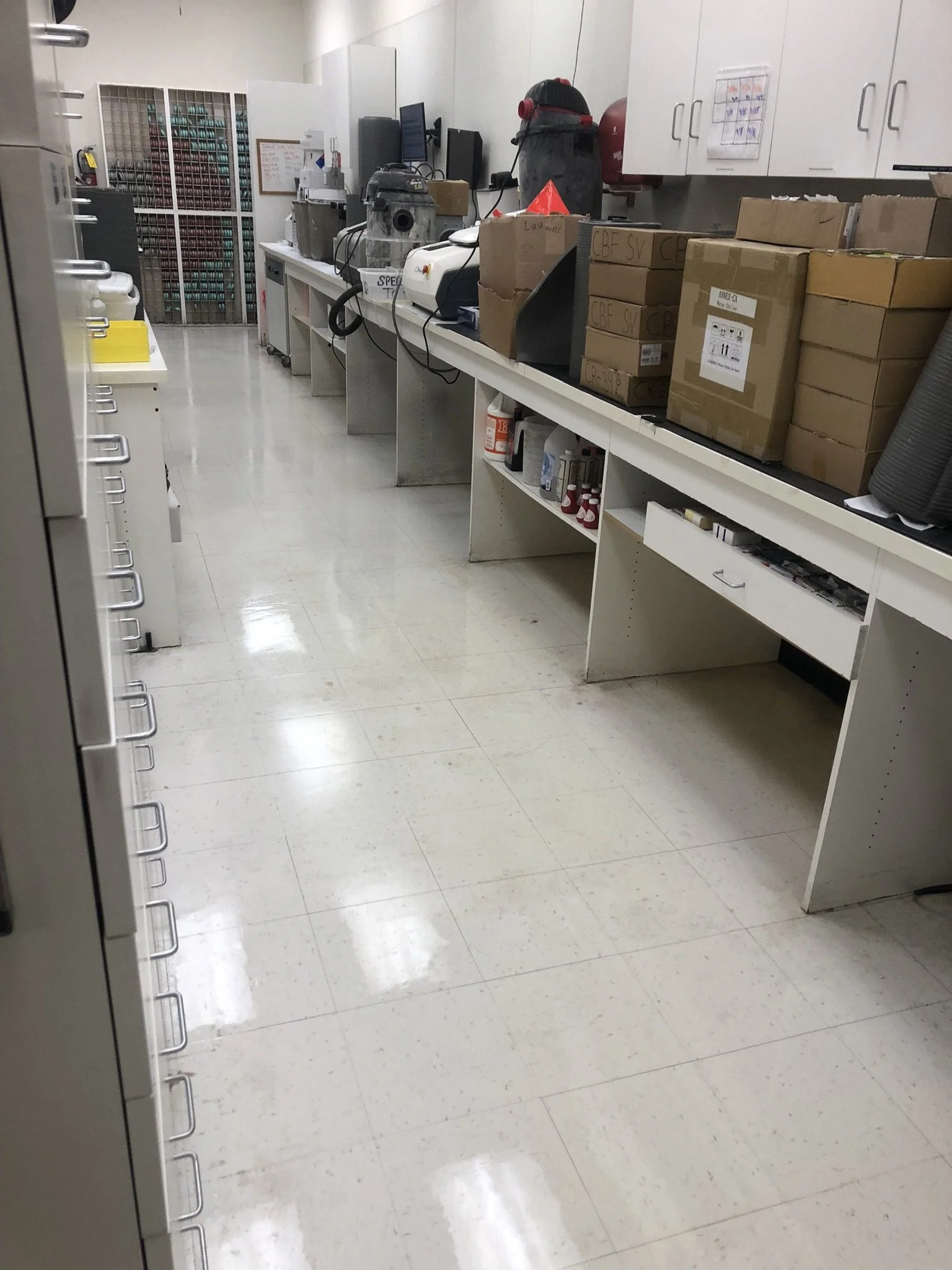 6E6EB713-75E6-4710-BFD2-EB3EC27A1D00 - Rodney Hassell.jpeg