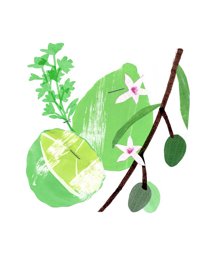 Bergamot 3.jpg