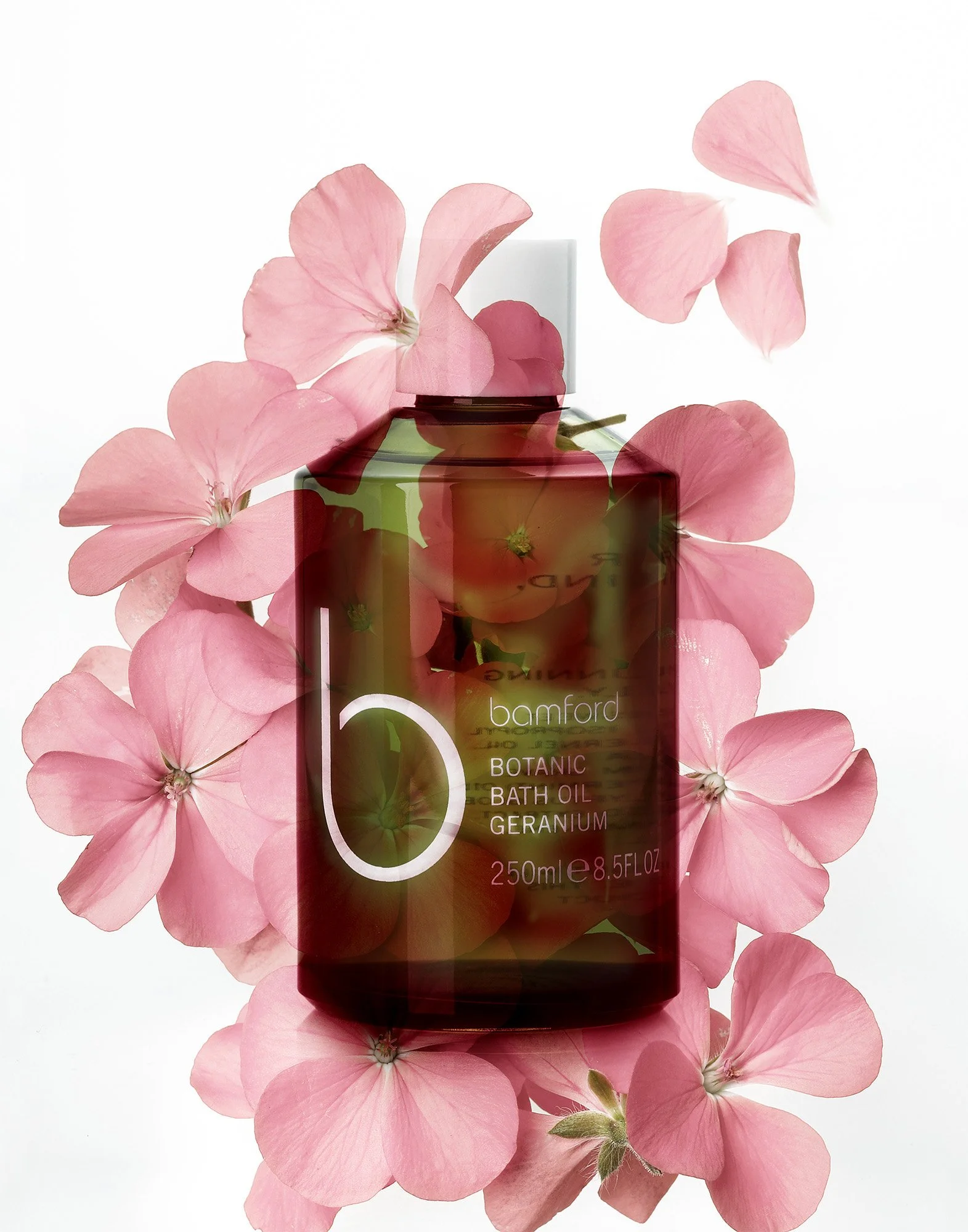 EASY LIVING C copy 2.jpg