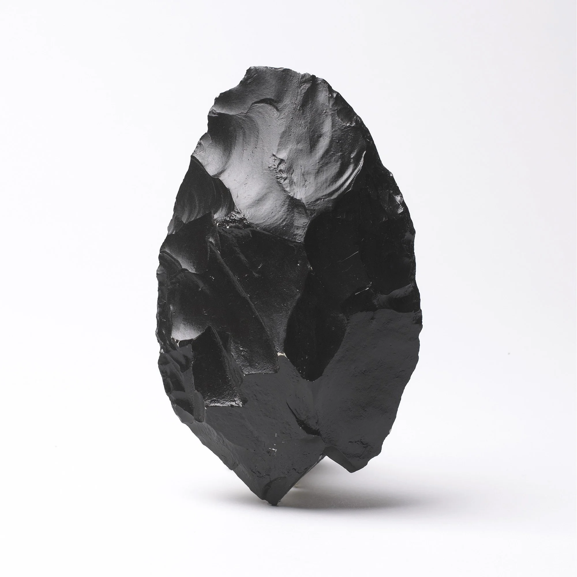 Homo Britannicus book - Black Flint 1 copy.jpg