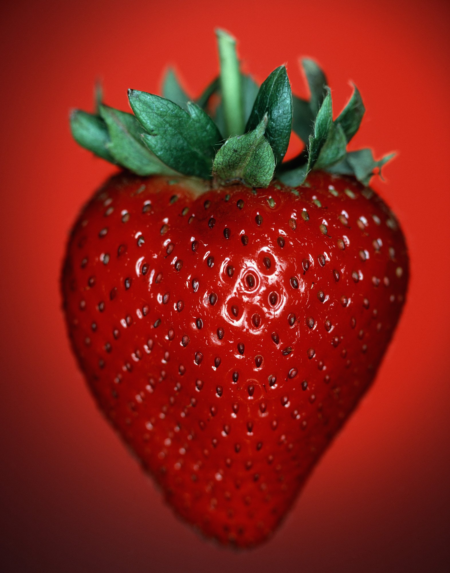 La vie mag Front cover fraise 100 copy 2.jpg