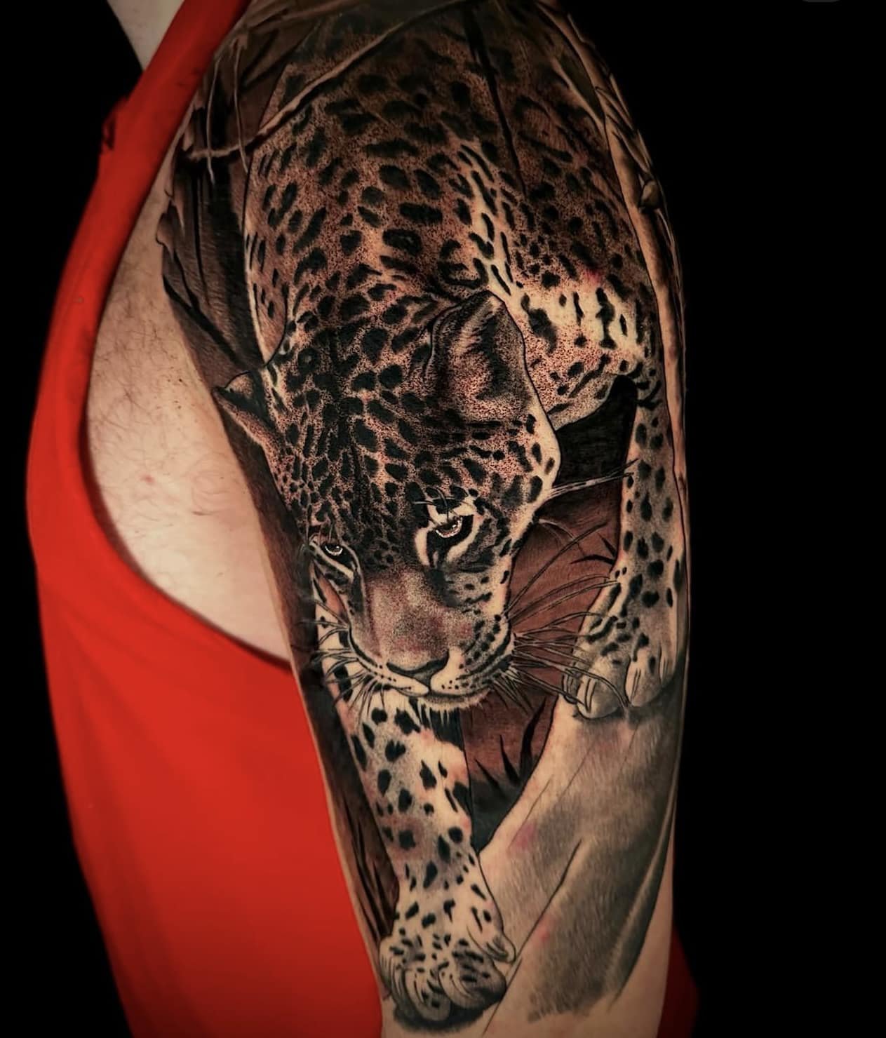 TONY CATTERUCCIA