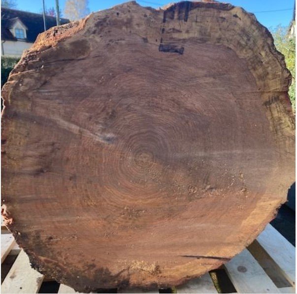 The Verdun Oak