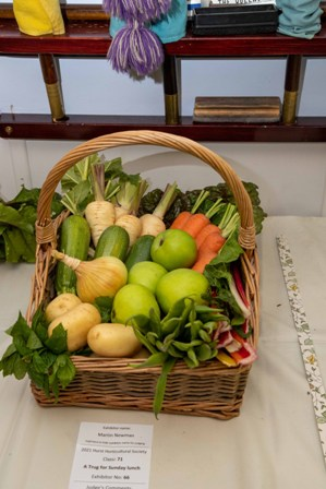 PEMBRIDGE VILLAGE SHOW 2024