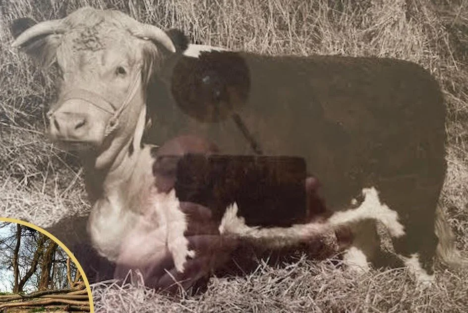 Talk: 80 Years of Farming in North Herefordshire