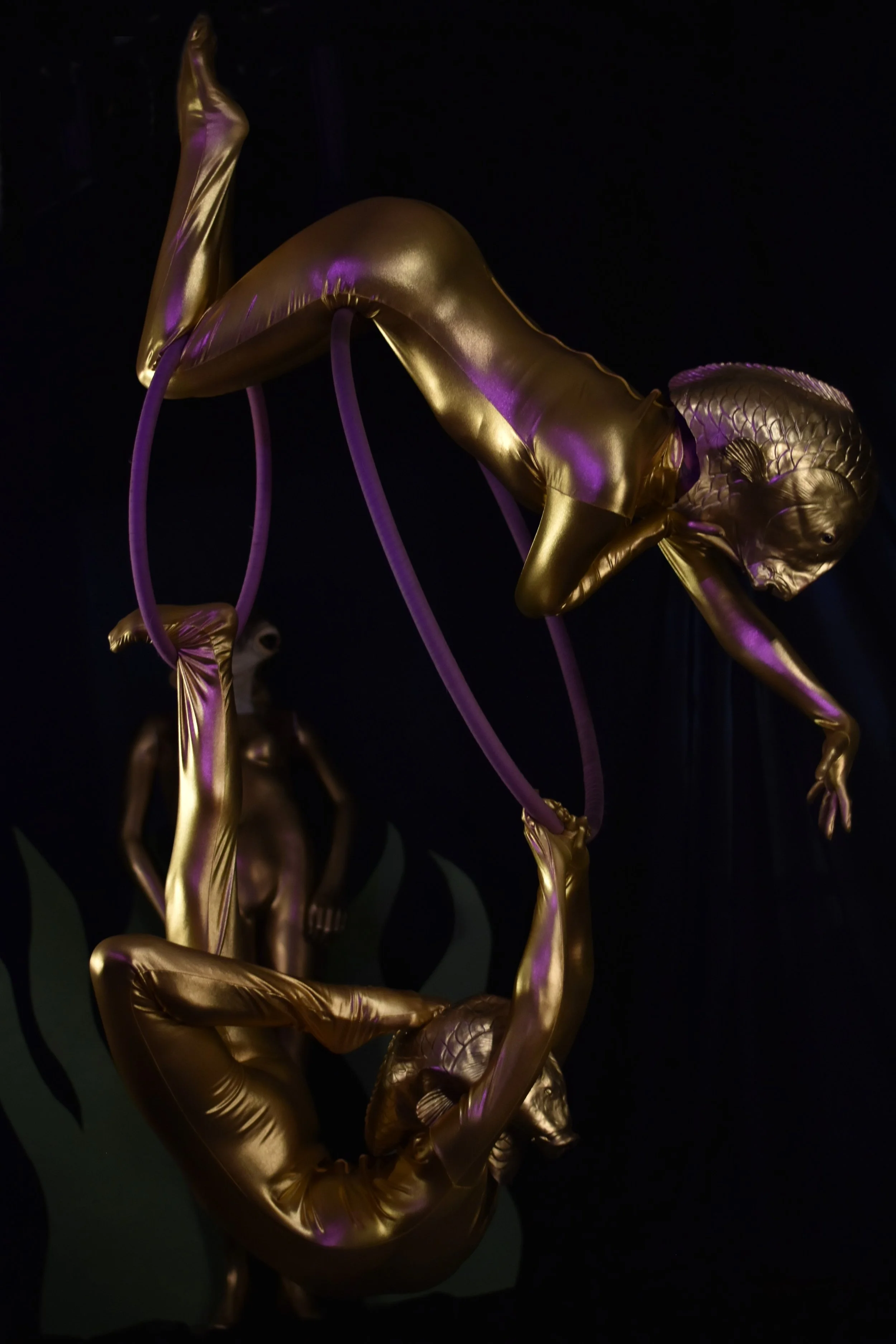 Photography by Steve of the Sun (2022)| Lyr-a-deux