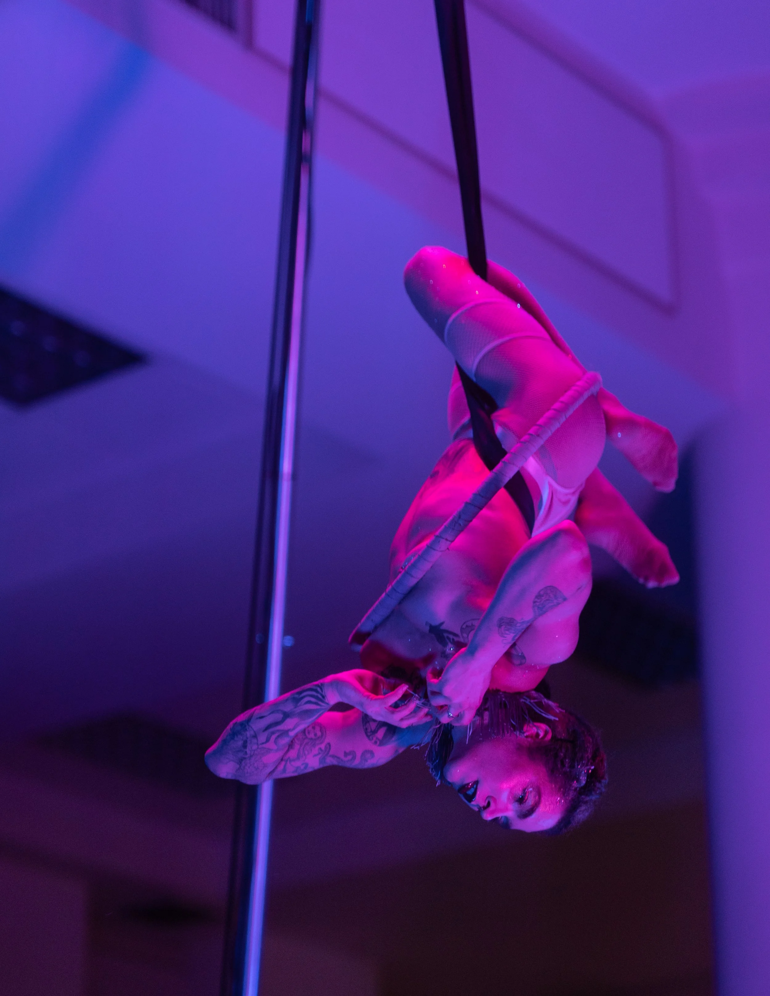 Seattle Erotic Art Festival| 2023