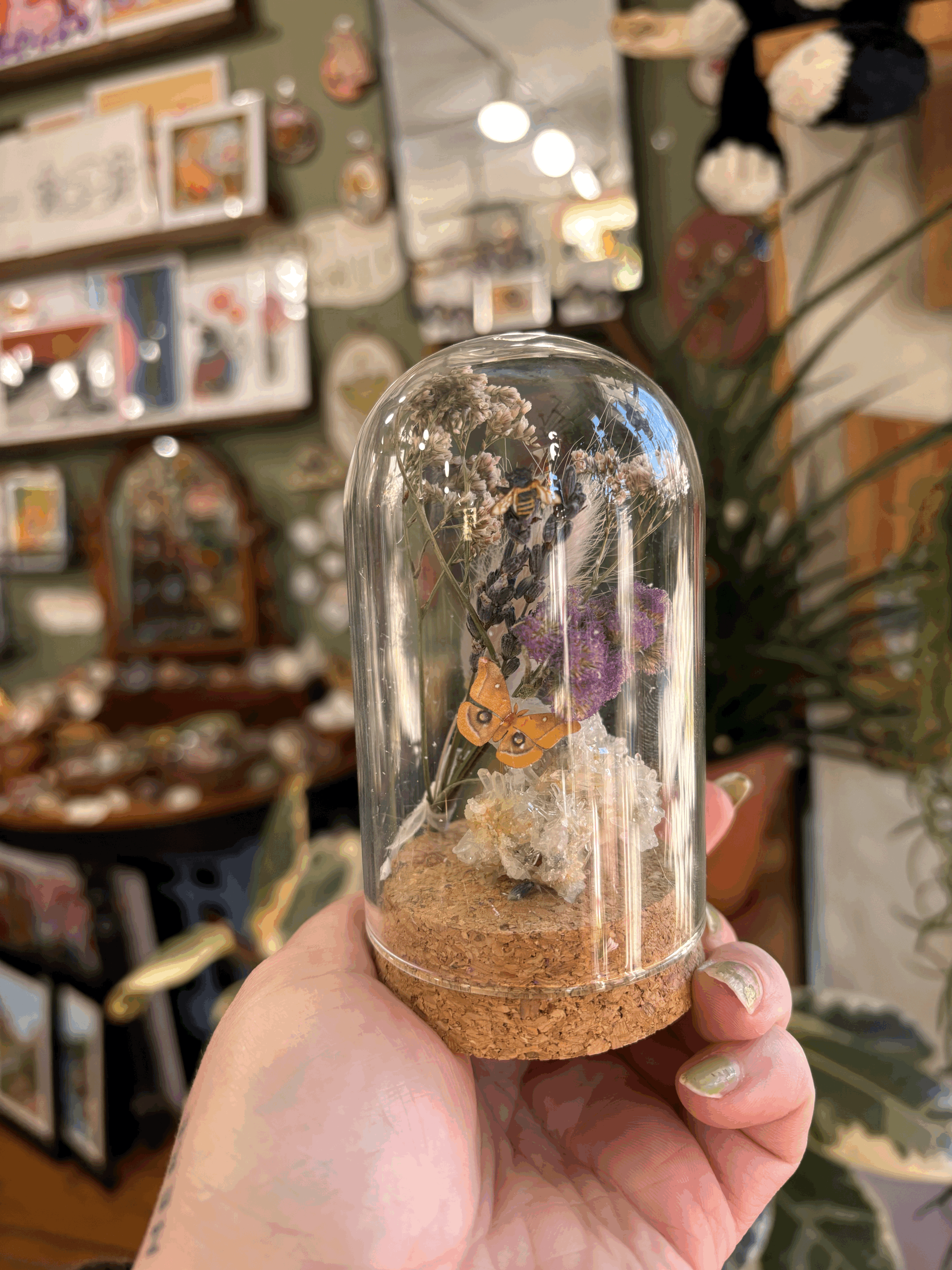 Found and Foraged Dome