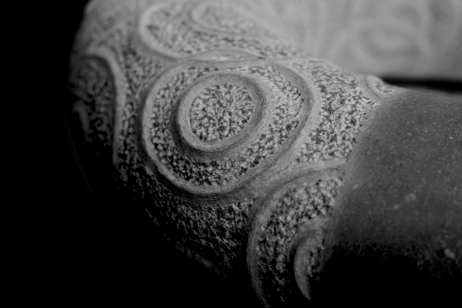 Screenshot 2025-03-10 at 9.12.05 AM.png