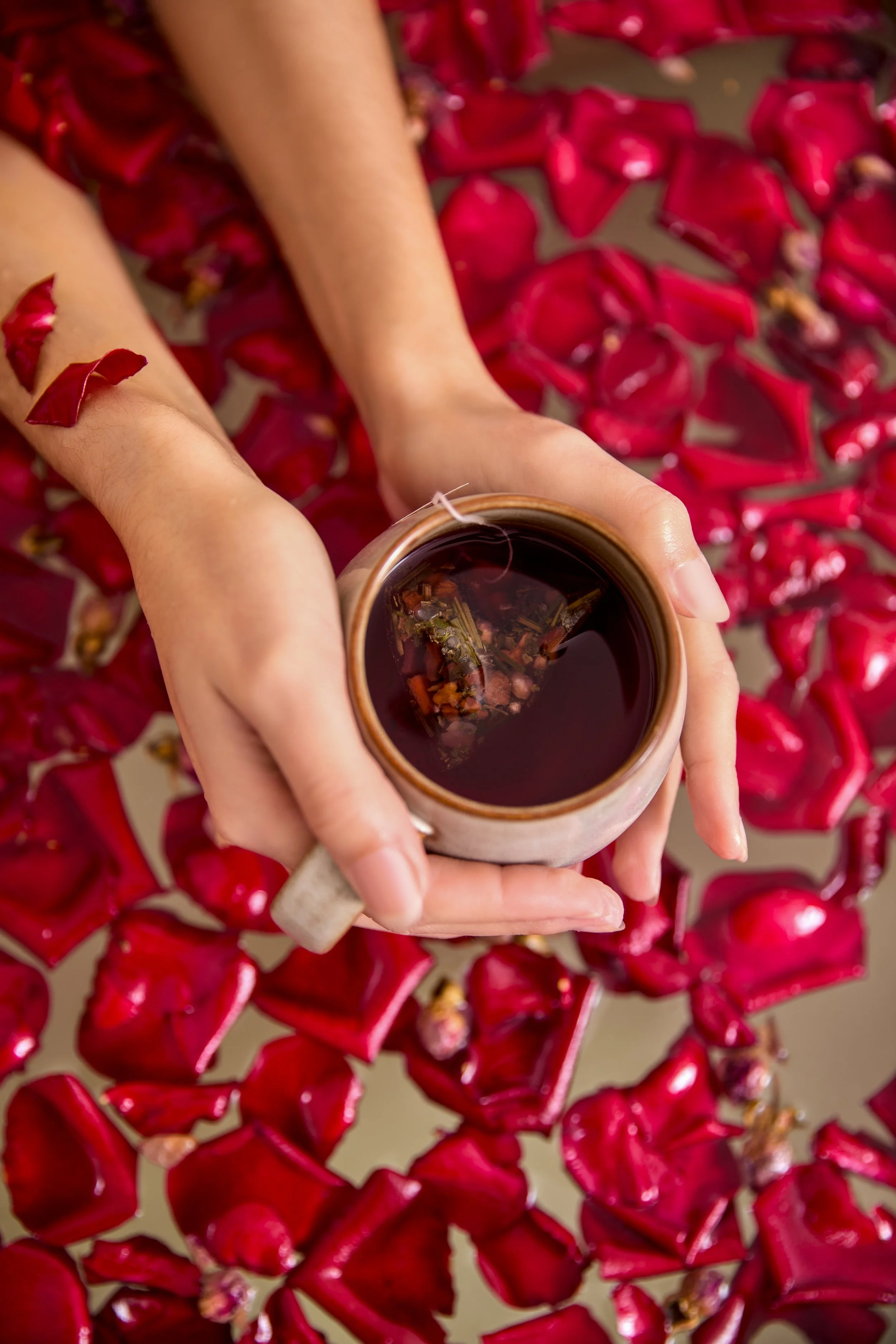 2023.12.05 Nesslerhof14977.jpg