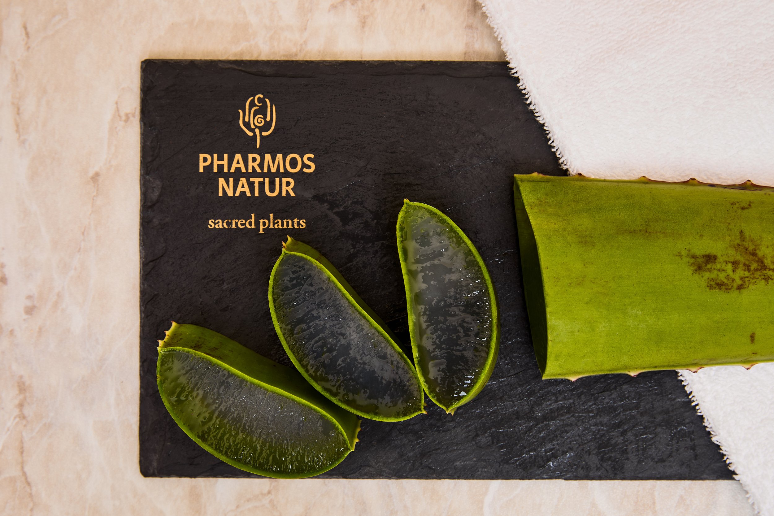 2025.03.12 Salzburgerhof Zell am See Pharmos Aloe1085.jpg