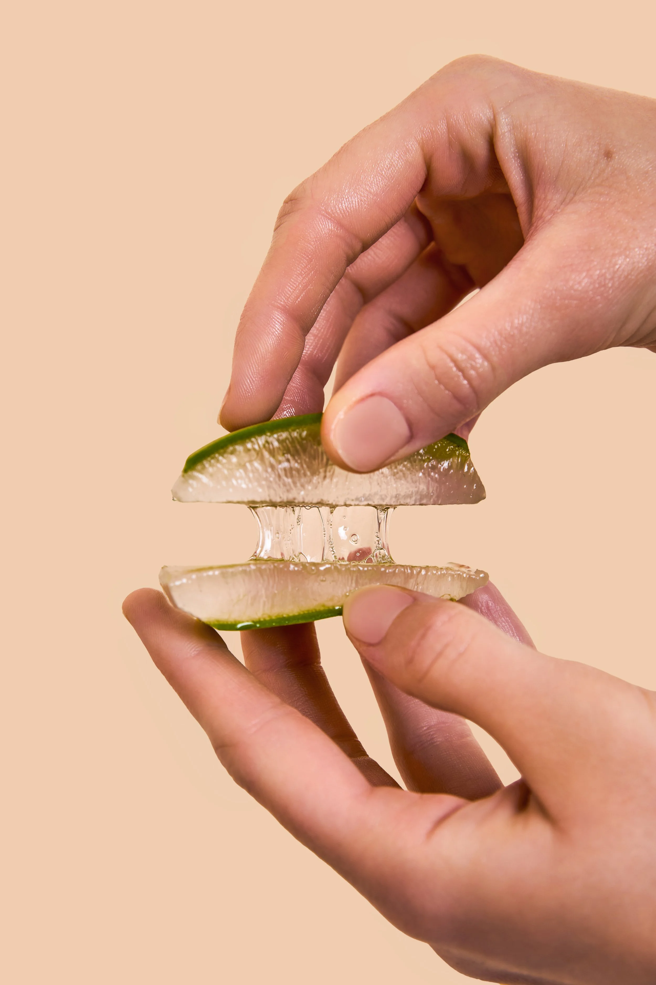 2025.03.12 Salzburgerhof Zell am See Pharmos Aloe1110.jpg