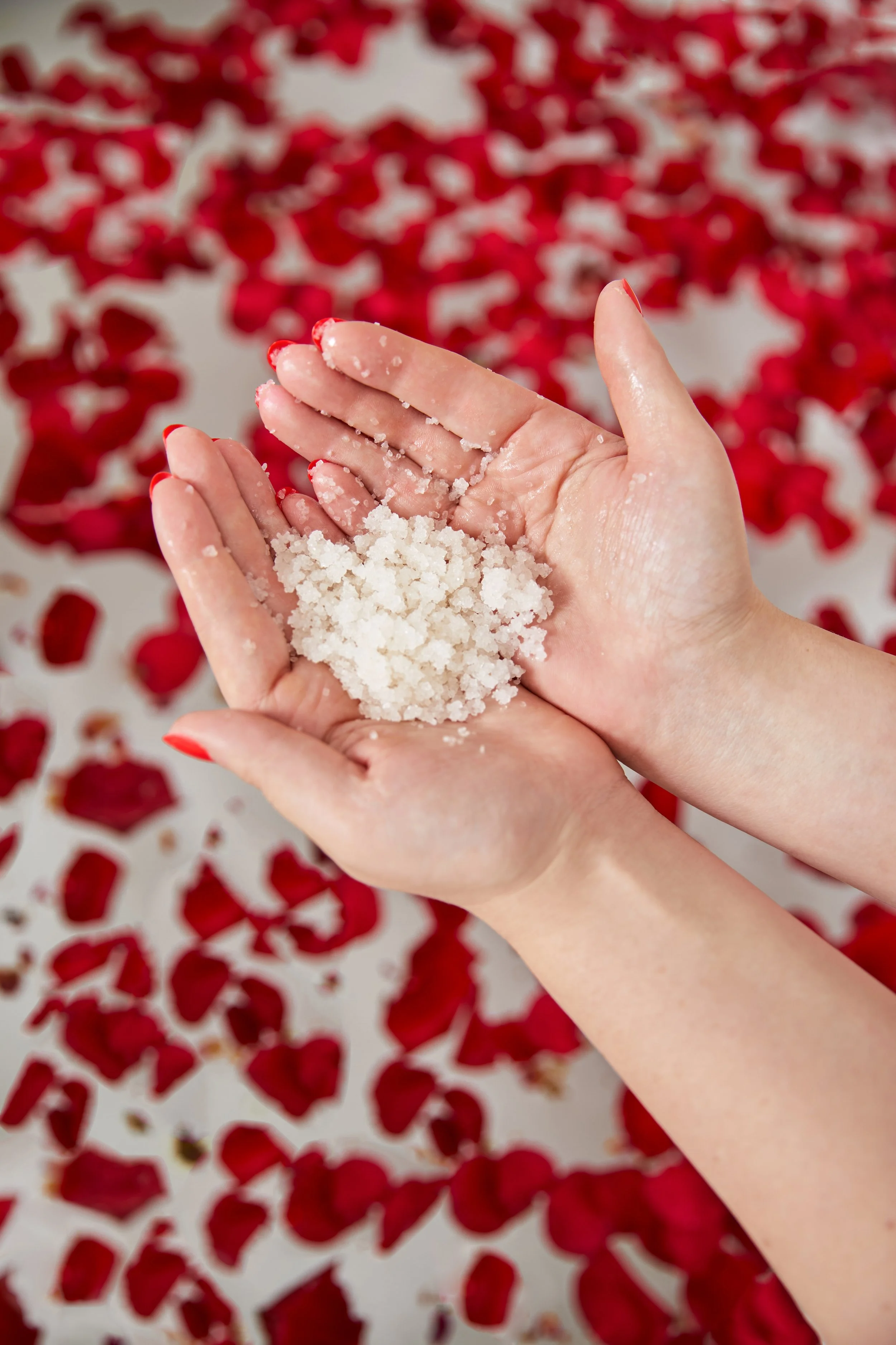 2023.12.05 Nesslerhof14305.jpg