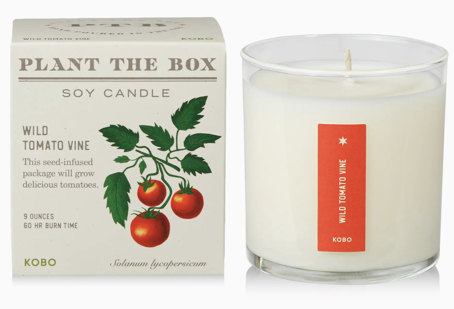 Wild Tomato Vine Soy Candle