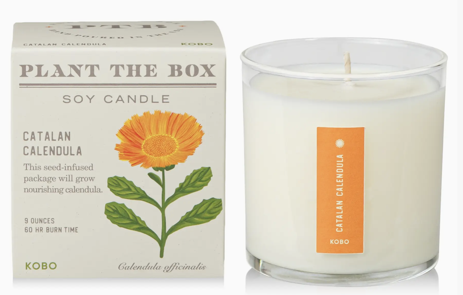 Catalan Calendula Soy Candle