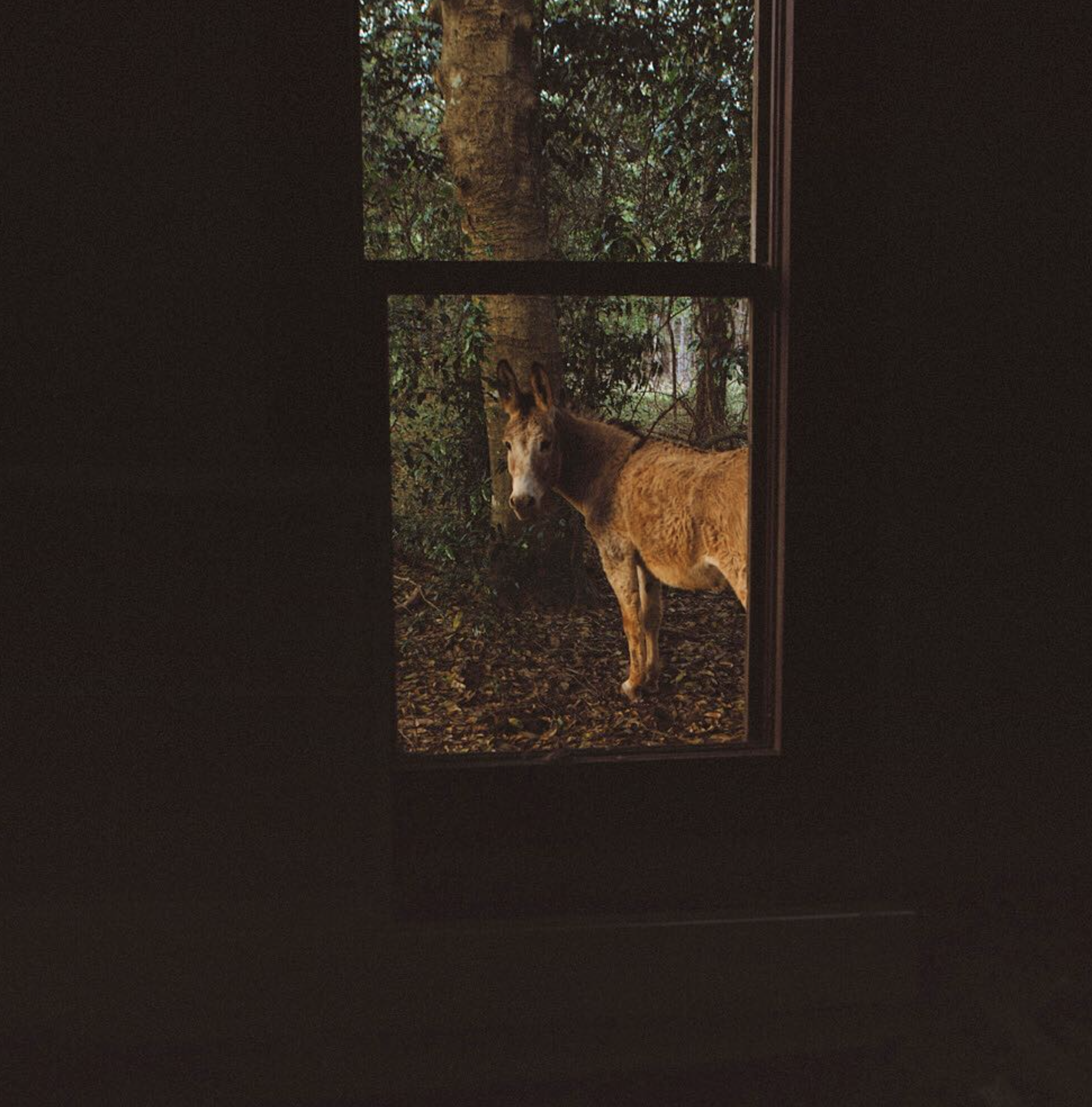 Screenshot 2026-04-14 at 2.01.56 PM.png