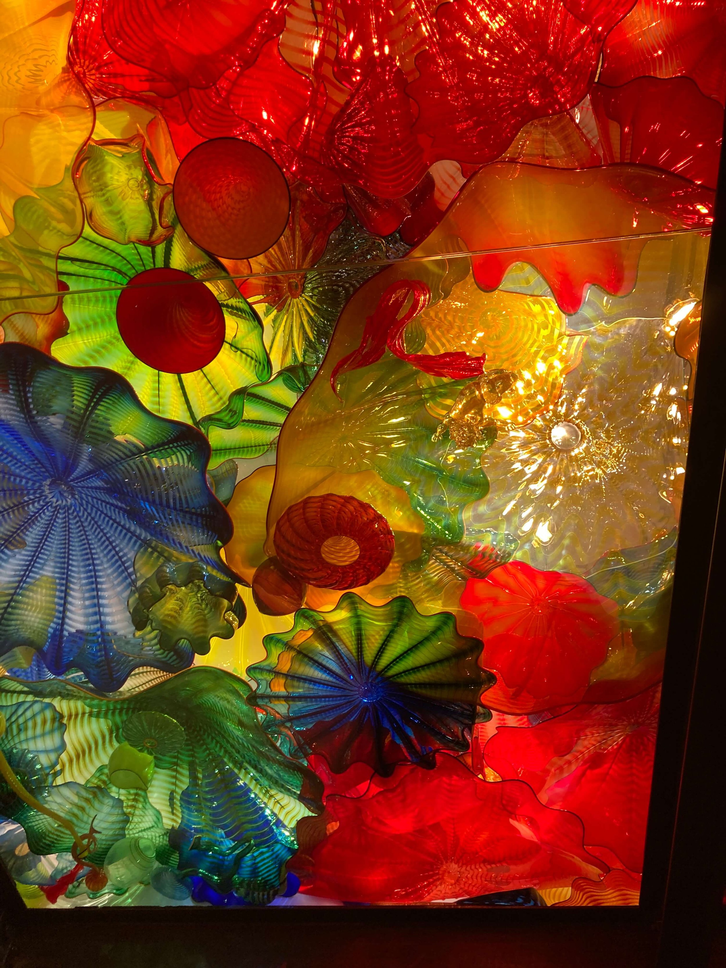 Dazzling Chihuly Glass in Ceiling Display