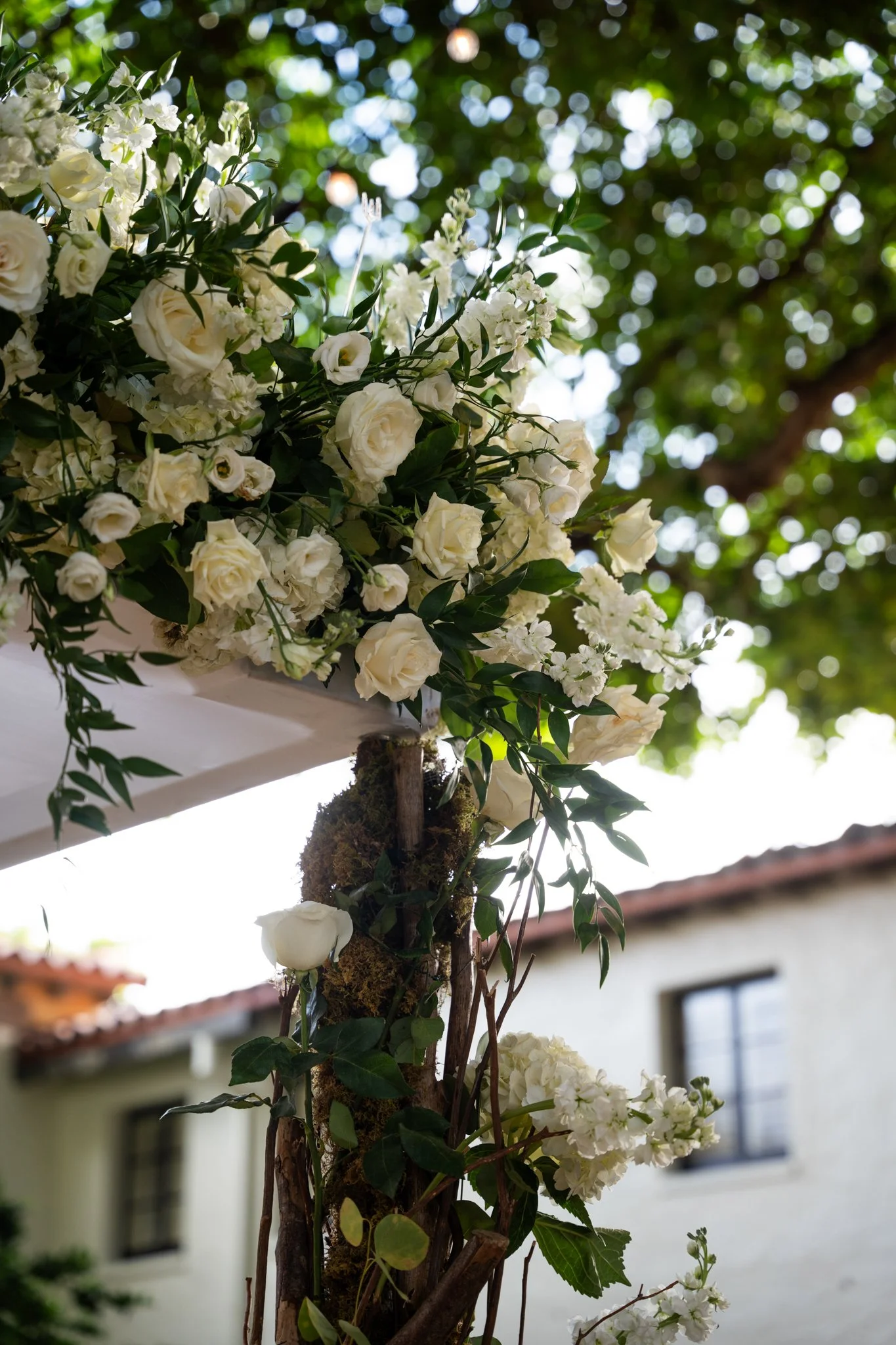 Wedding Photos for website-09.jpg