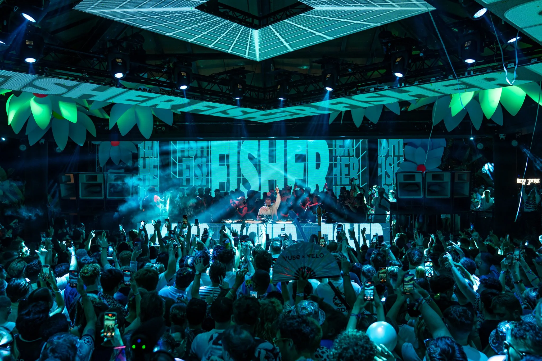 Night Life Website-04.jpg